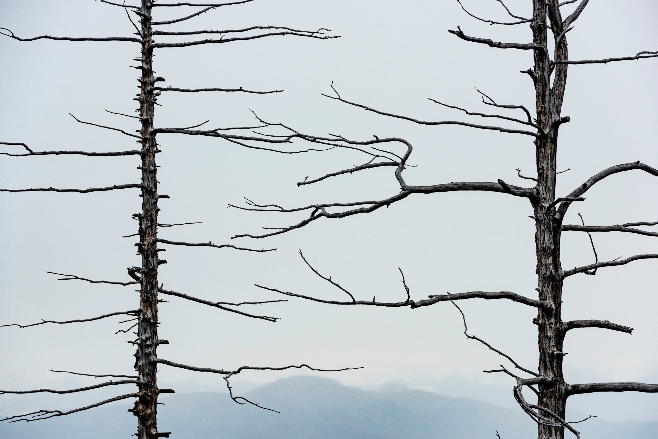 NATURE. Sailing Photographer Marina Semenova
