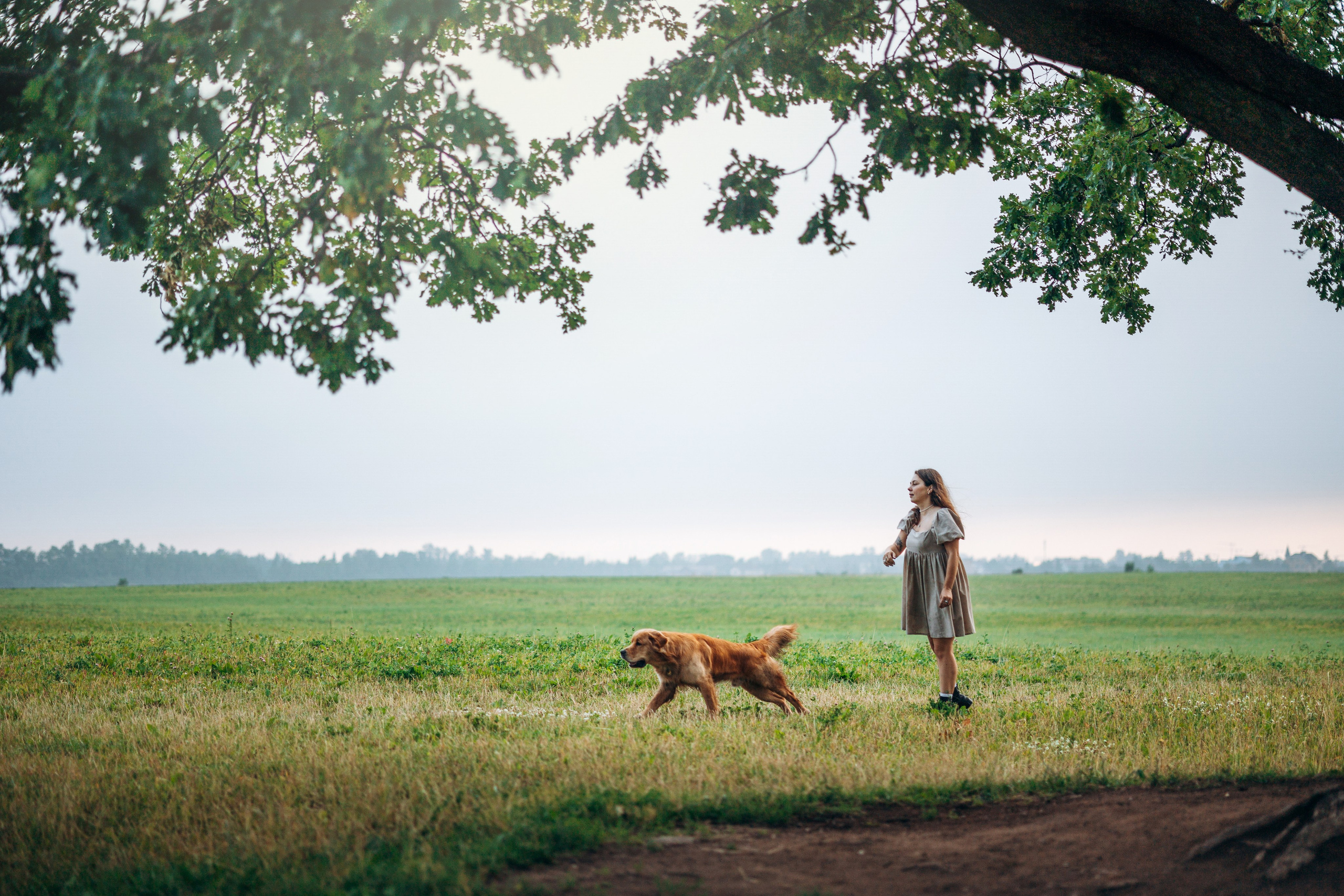 Аня и Ноллан. Фотограф — Анималист | Санкт-Петербург