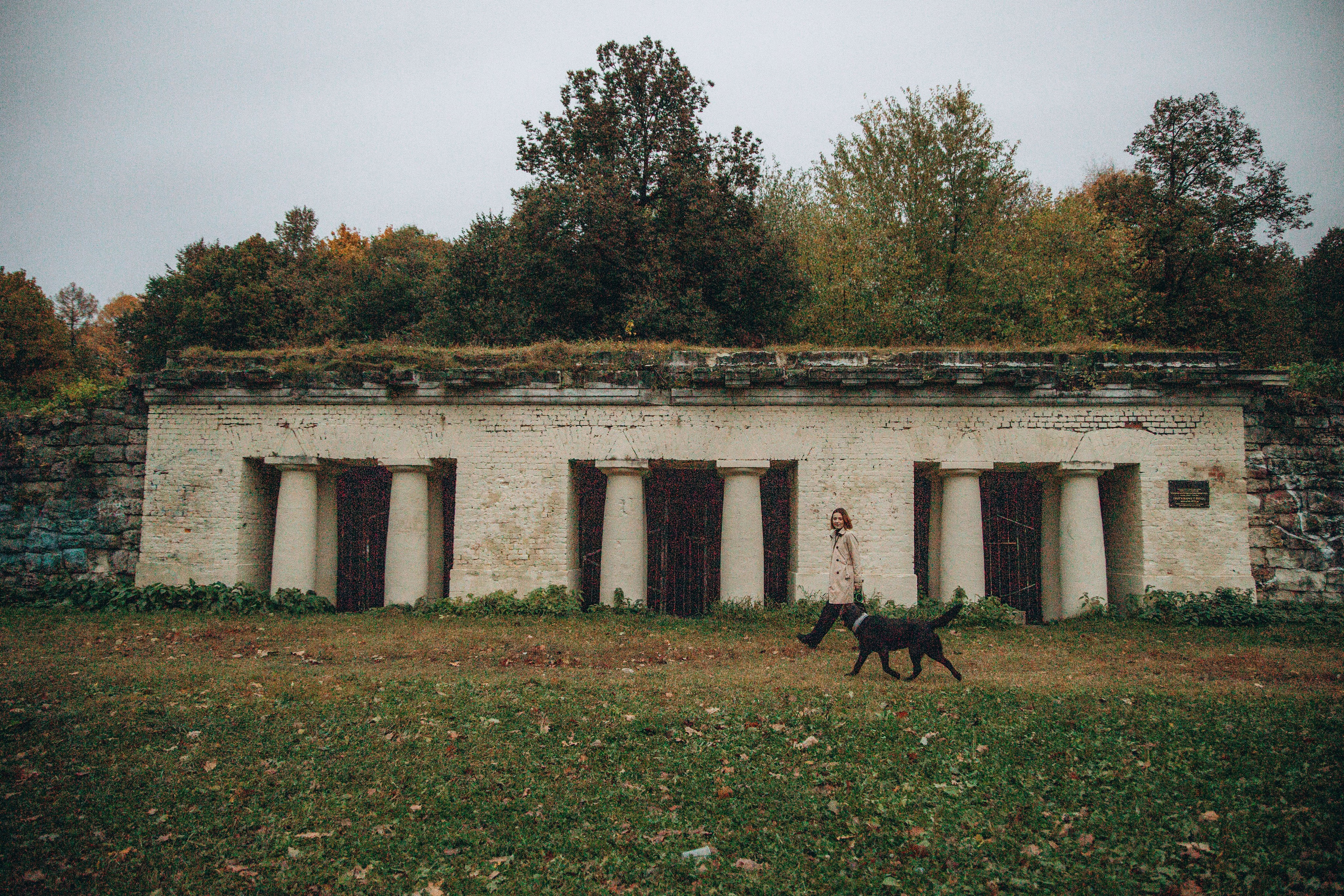 Арина и Сэмми. Фотограф — Анималист | Санкт-Петербург