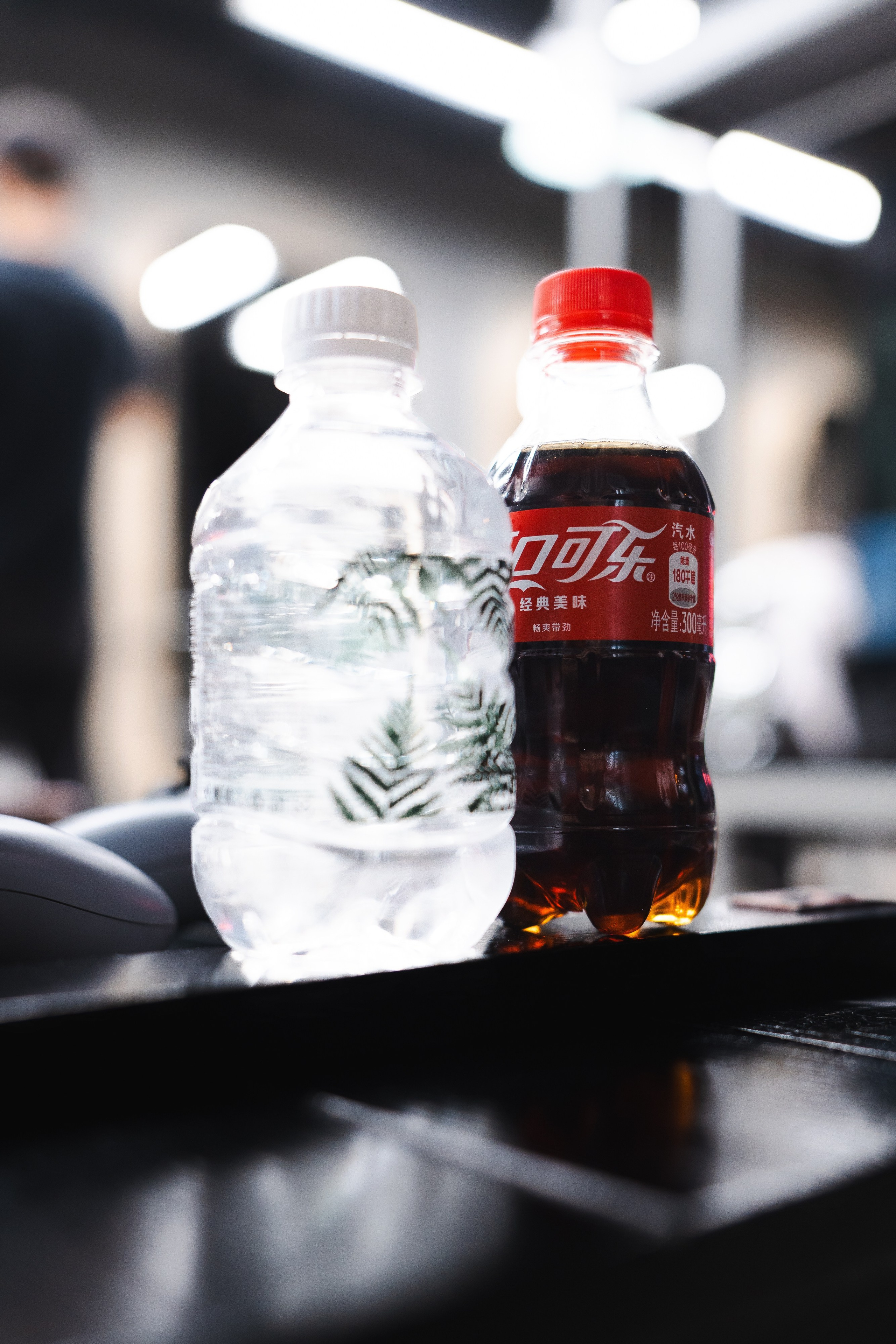 Nordmen. Фотограф Хабаровск