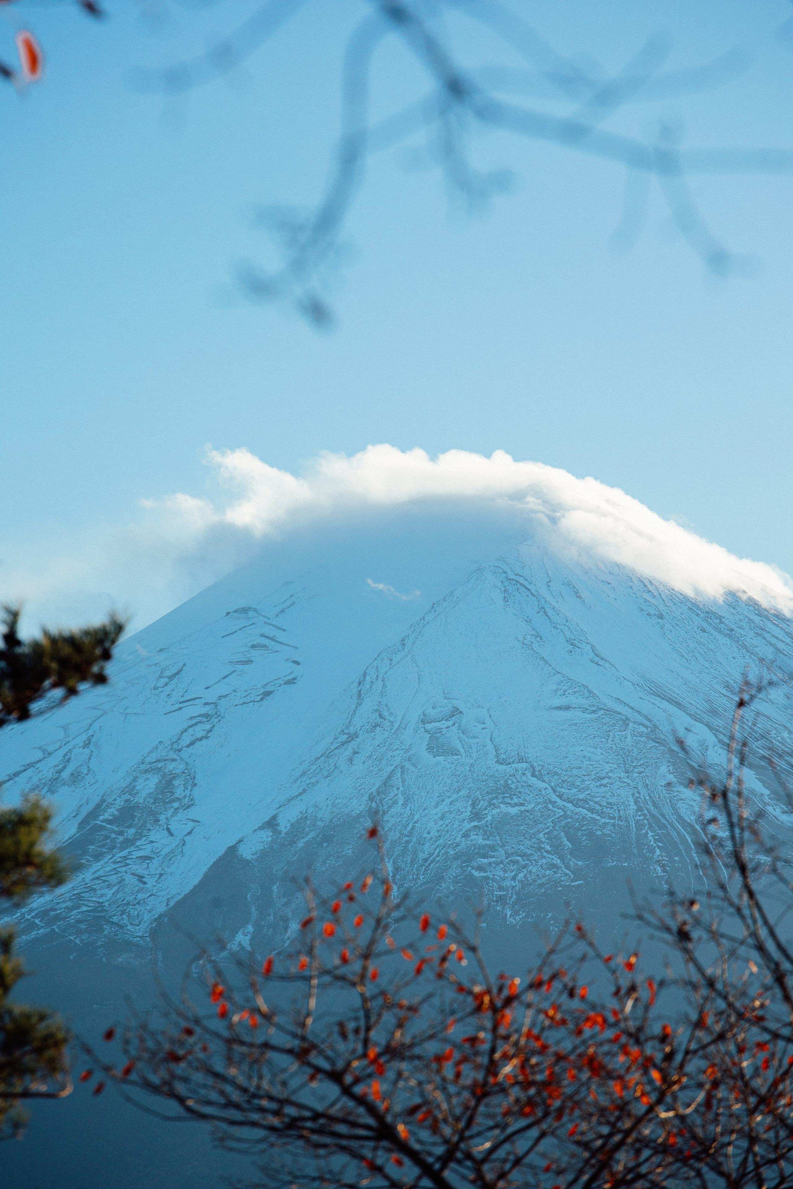 Япония. Главная