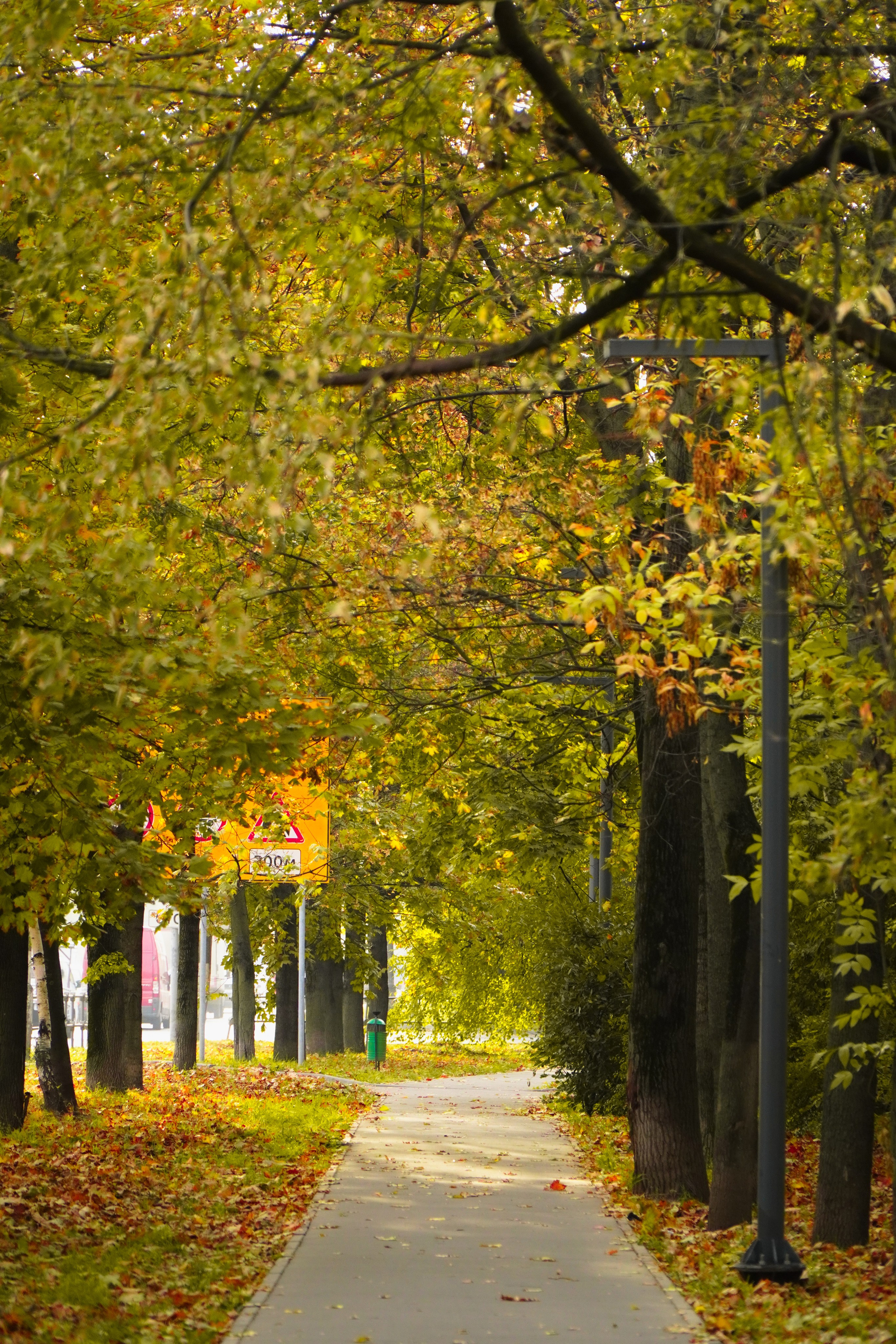 5 вёрст Наташинский 4 октября 2025. Роман Капилюшов. Бег. Фото. Видео. г. Люберцы