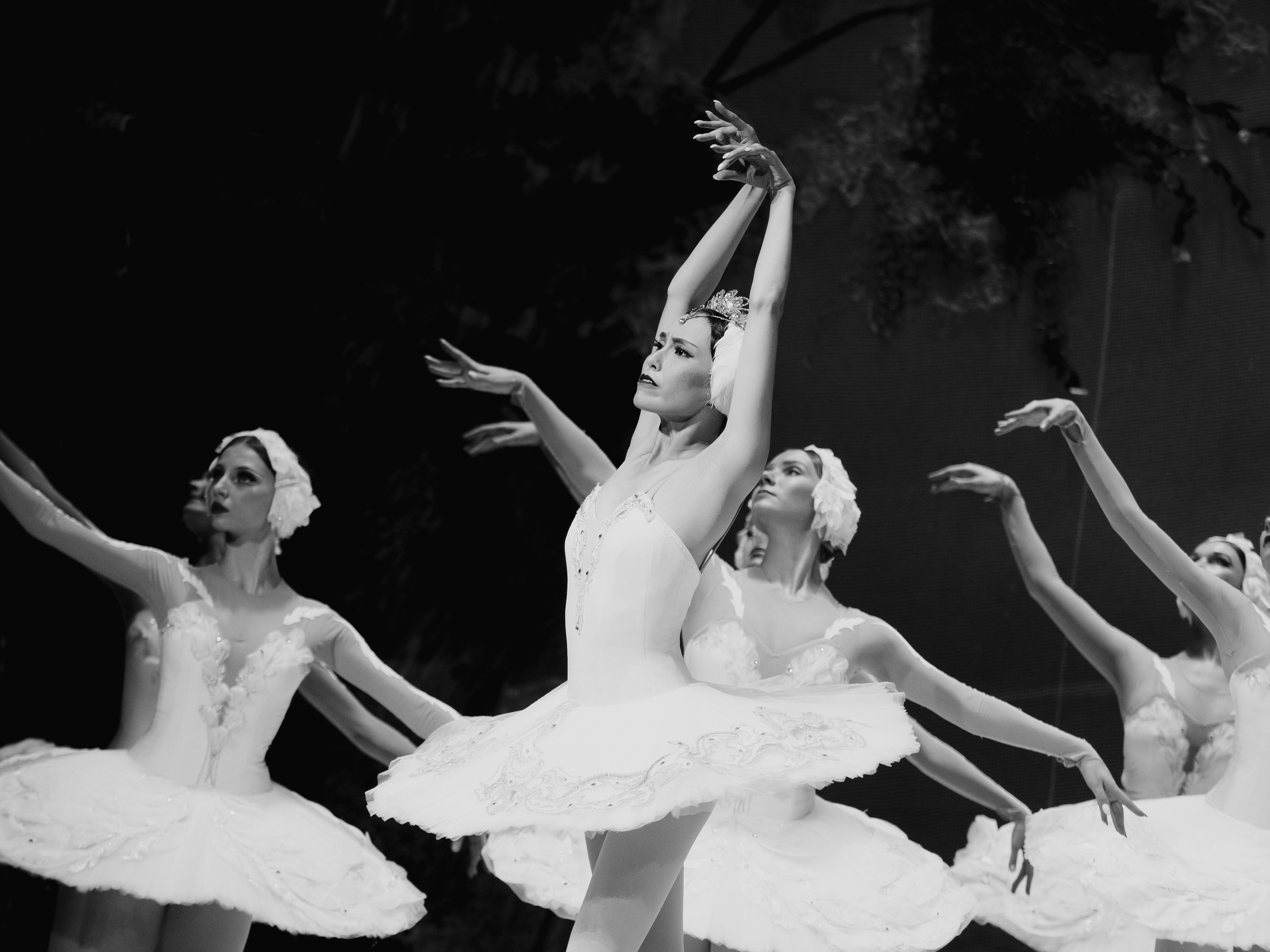 Балет «Лебединое озеро». Маруся Машкова • Фотограф в Москве