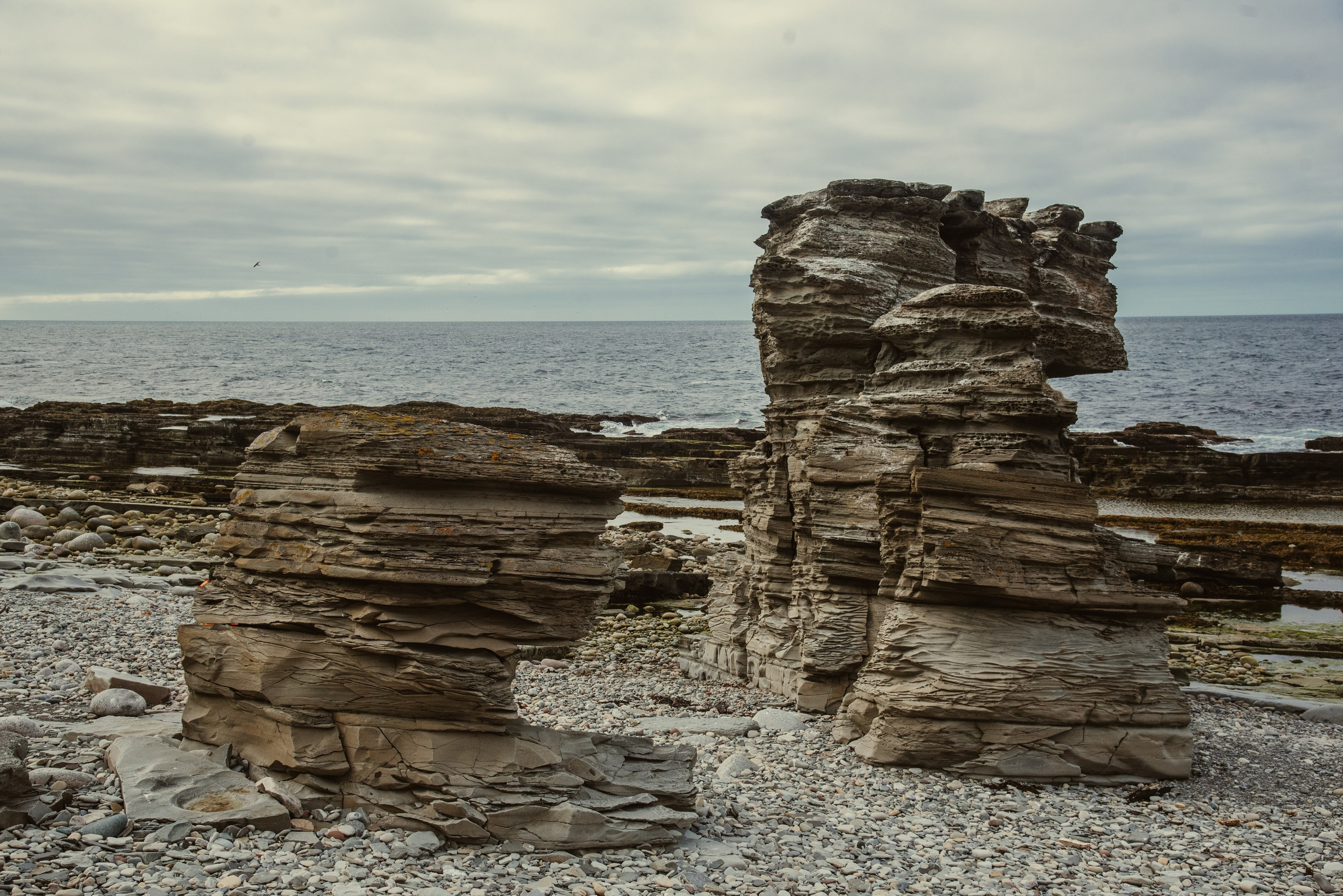Остров Кильдин, 2025. Фотограф Марк Арсаков