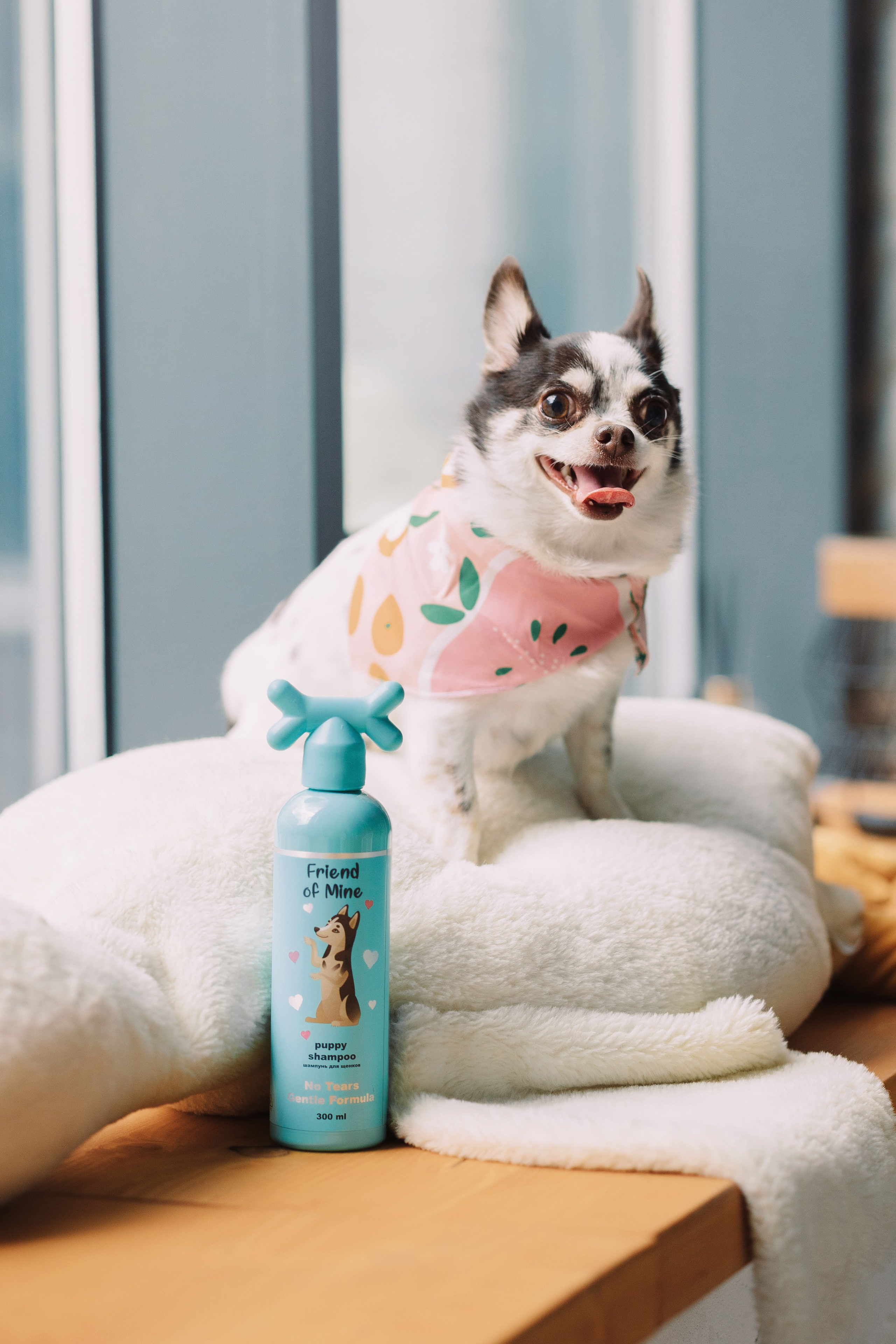 Магазин Friend of mine. Фотограф-анималист Елена Радченко, Москва