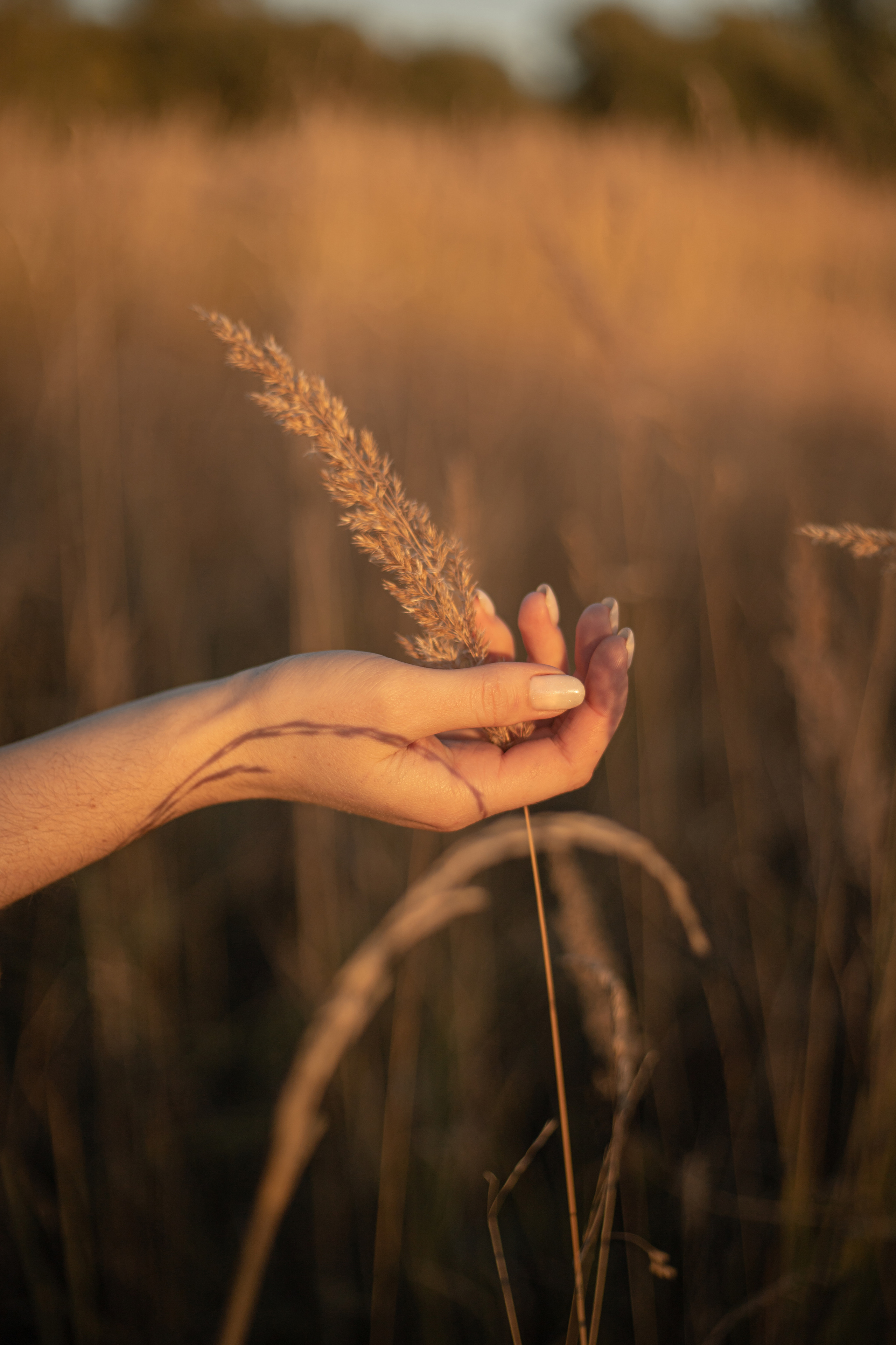 Даша. Индивидуальная осенняя фотосессия. Фотограф Киржач/Москва_Екатерина Мартынова