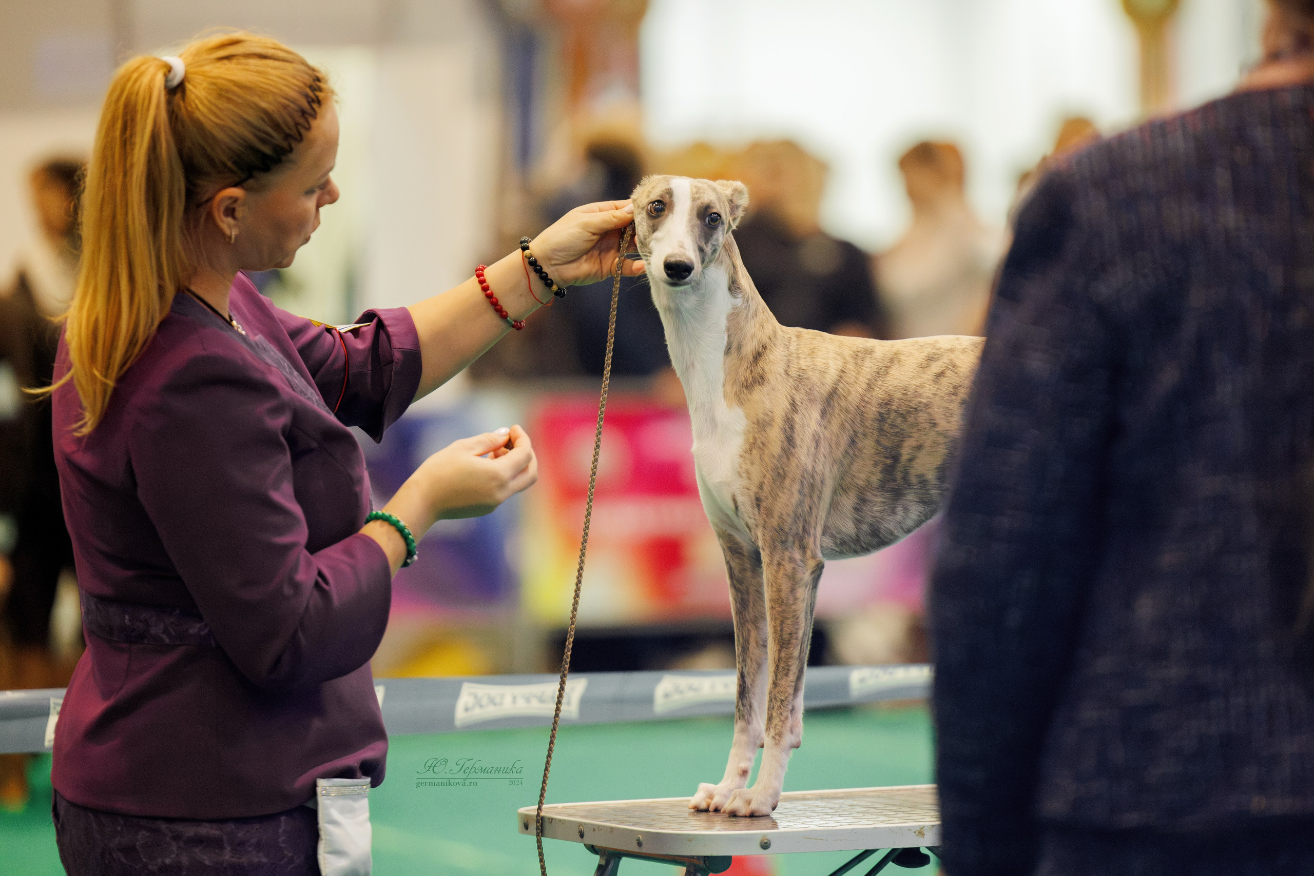 Минск 23.11.2024. Фотограф-анималист Юлия Германика