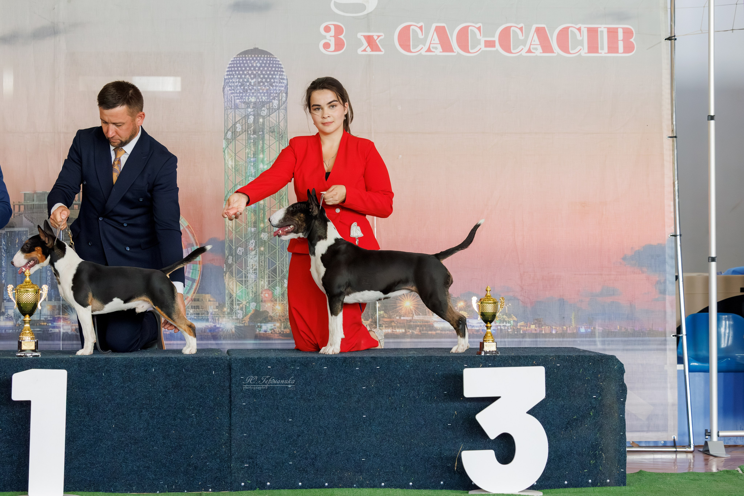 Батуми 3хCACIB 27-29.06.2025. Фотограф-анималист Юлия Германика