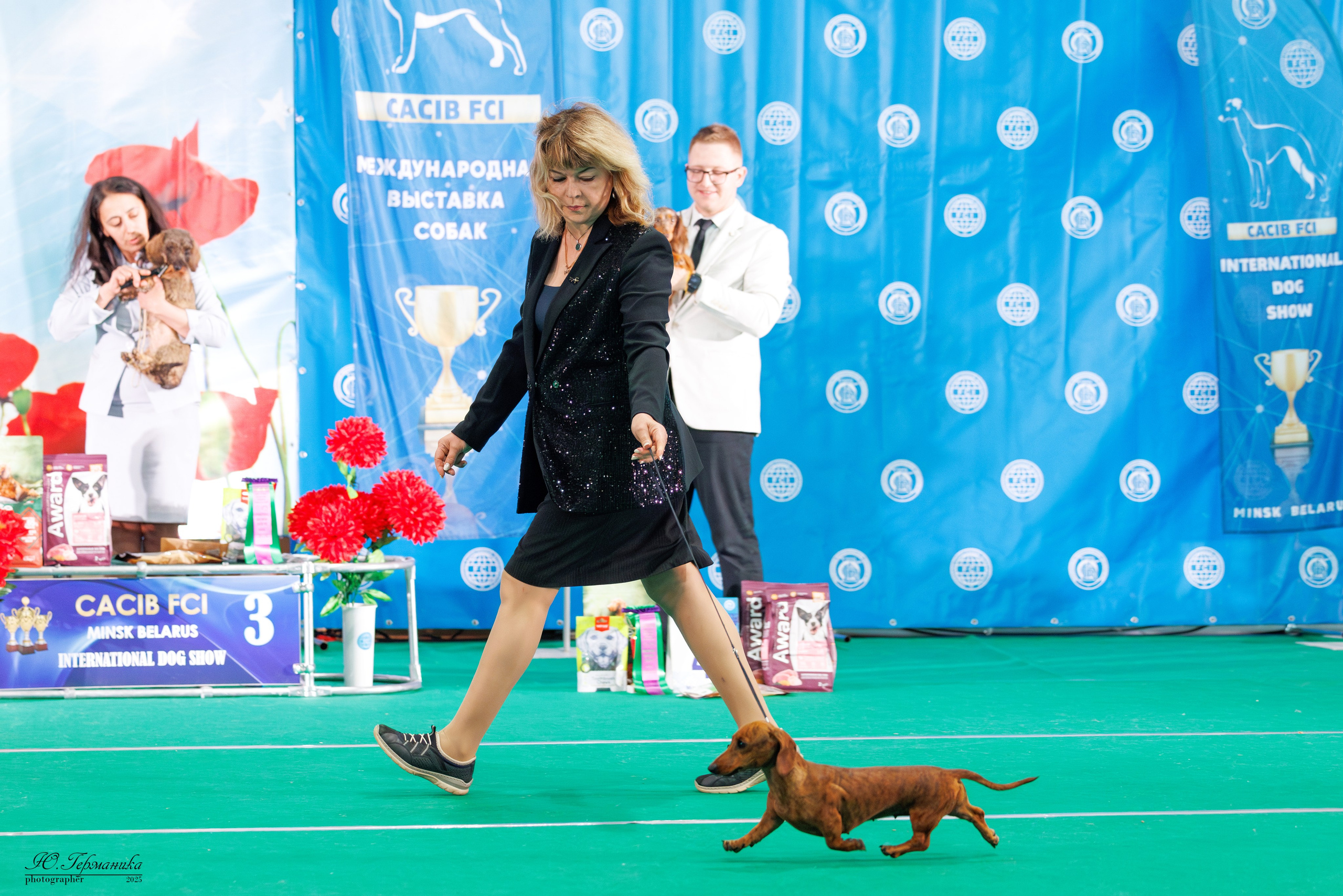 Минск 31.05-1.06.2025. Фотограф-анималист Юлия Германика