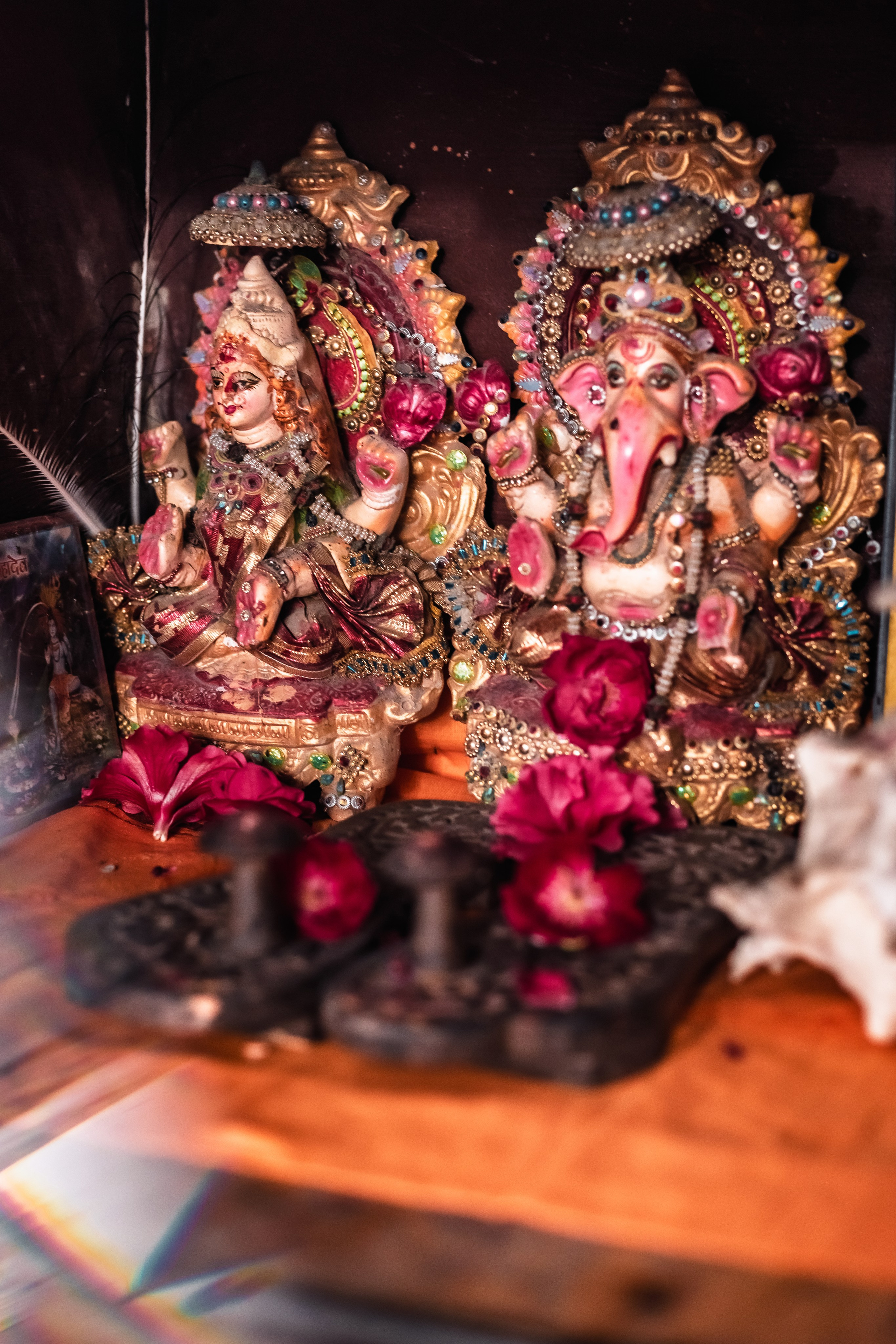 Devraha baba ji ashram life 2025. Mariam Bagdasaryan