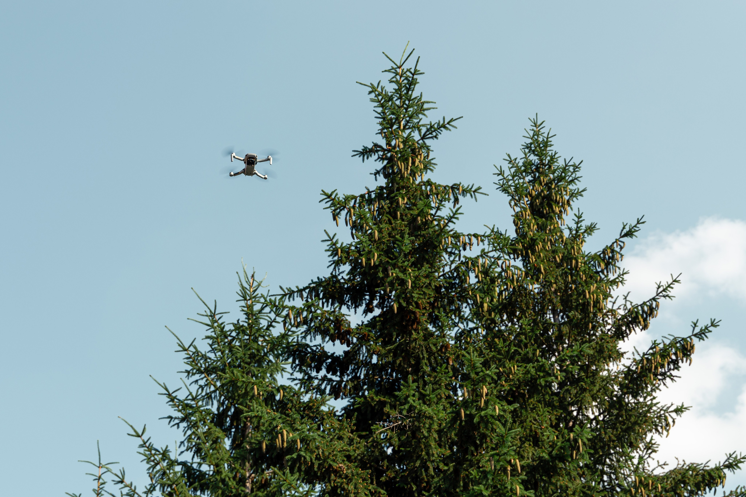 День рождения Юли Ворониной