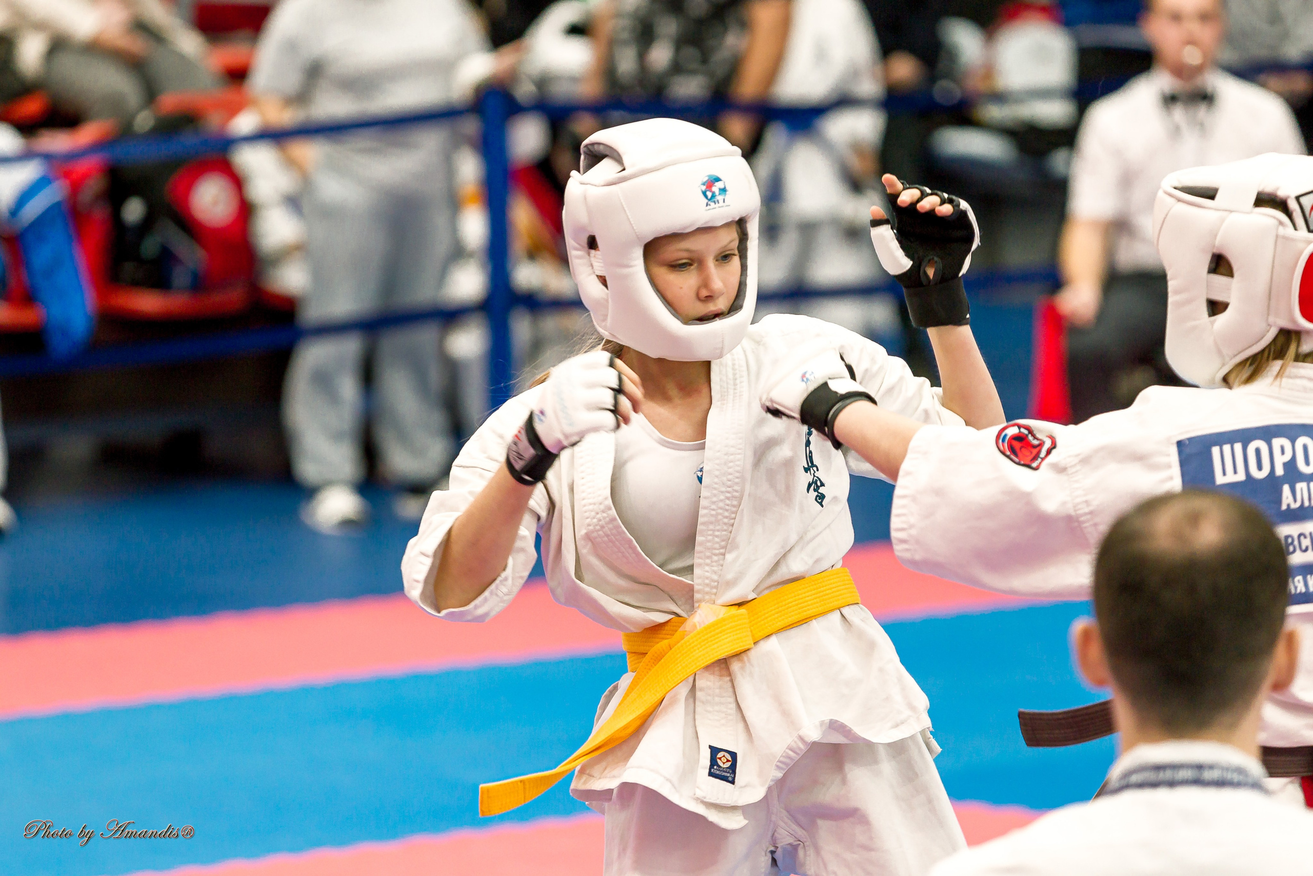 Чемпионат по Киокушинкай Центрального Федерального округа. Репортажная съемка в Москве и области. Анималистика