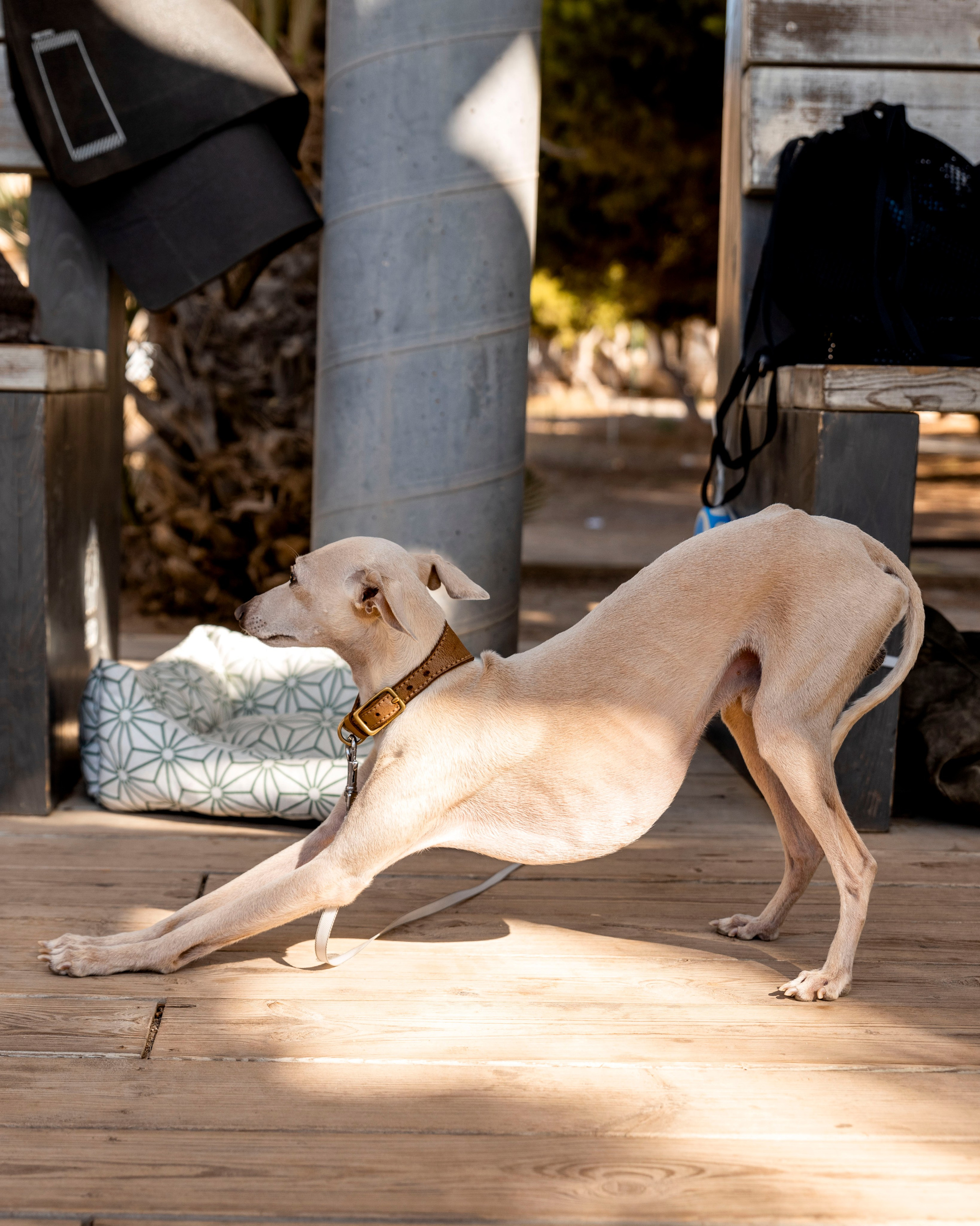 Контент для спортивного тренера. Фотограф в Санкт-Петербурге Ефремова Наталья