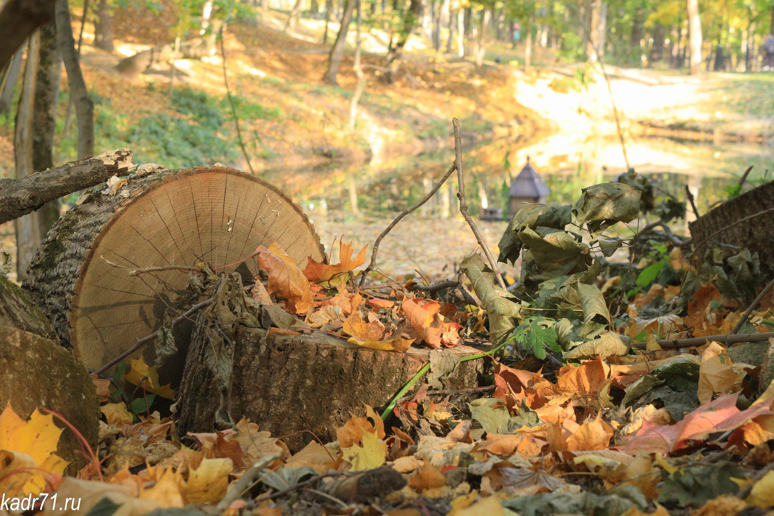 Платоновский парк города Тулы. Фотограф в Туле Крупский АнДРей. Фотостудия «КАДР71» в Туле