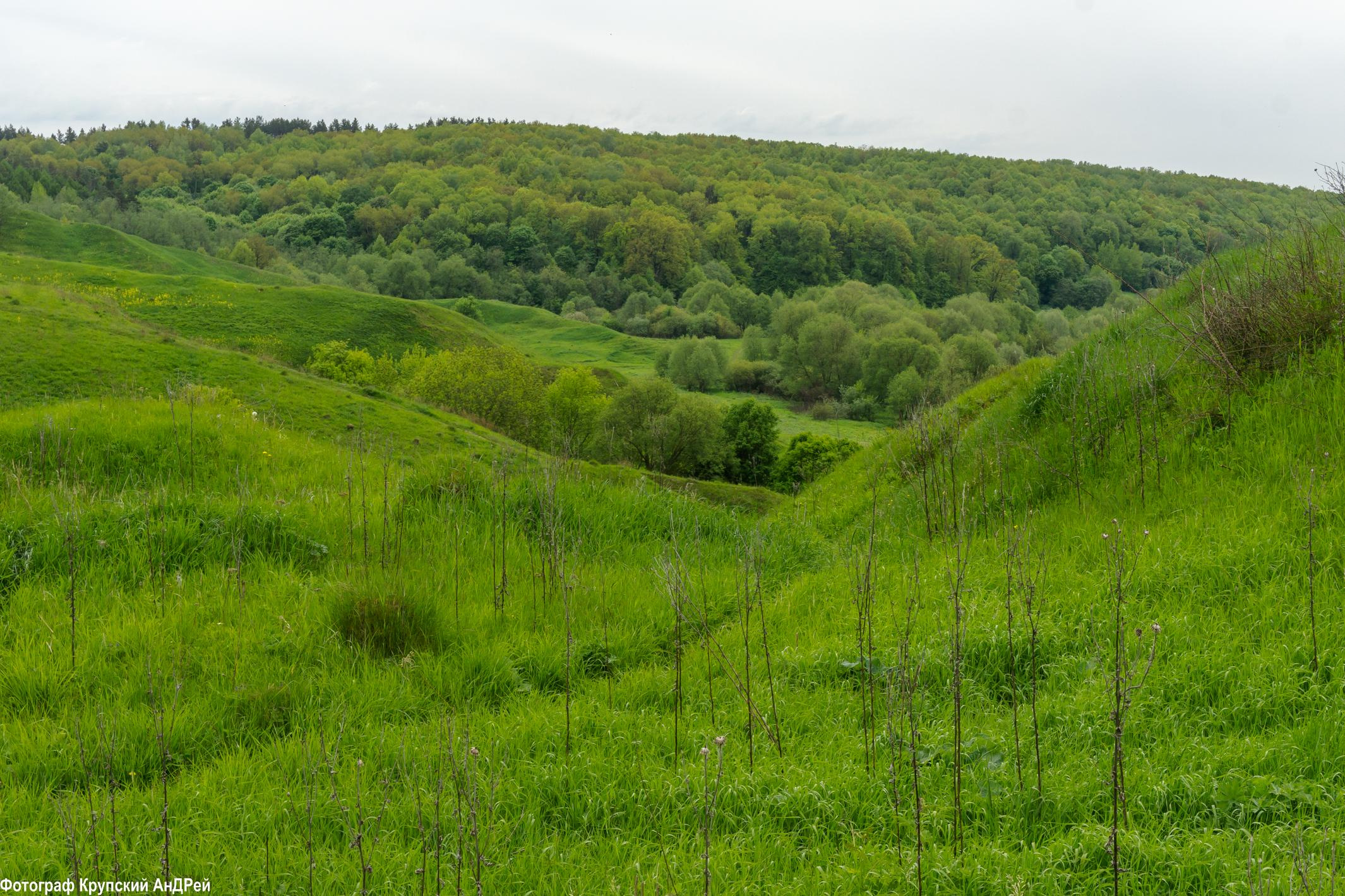 Просторы Алексина. Фотограф в Туле Крупский АнДРей. Фотостудия «КАДР71» в Туле