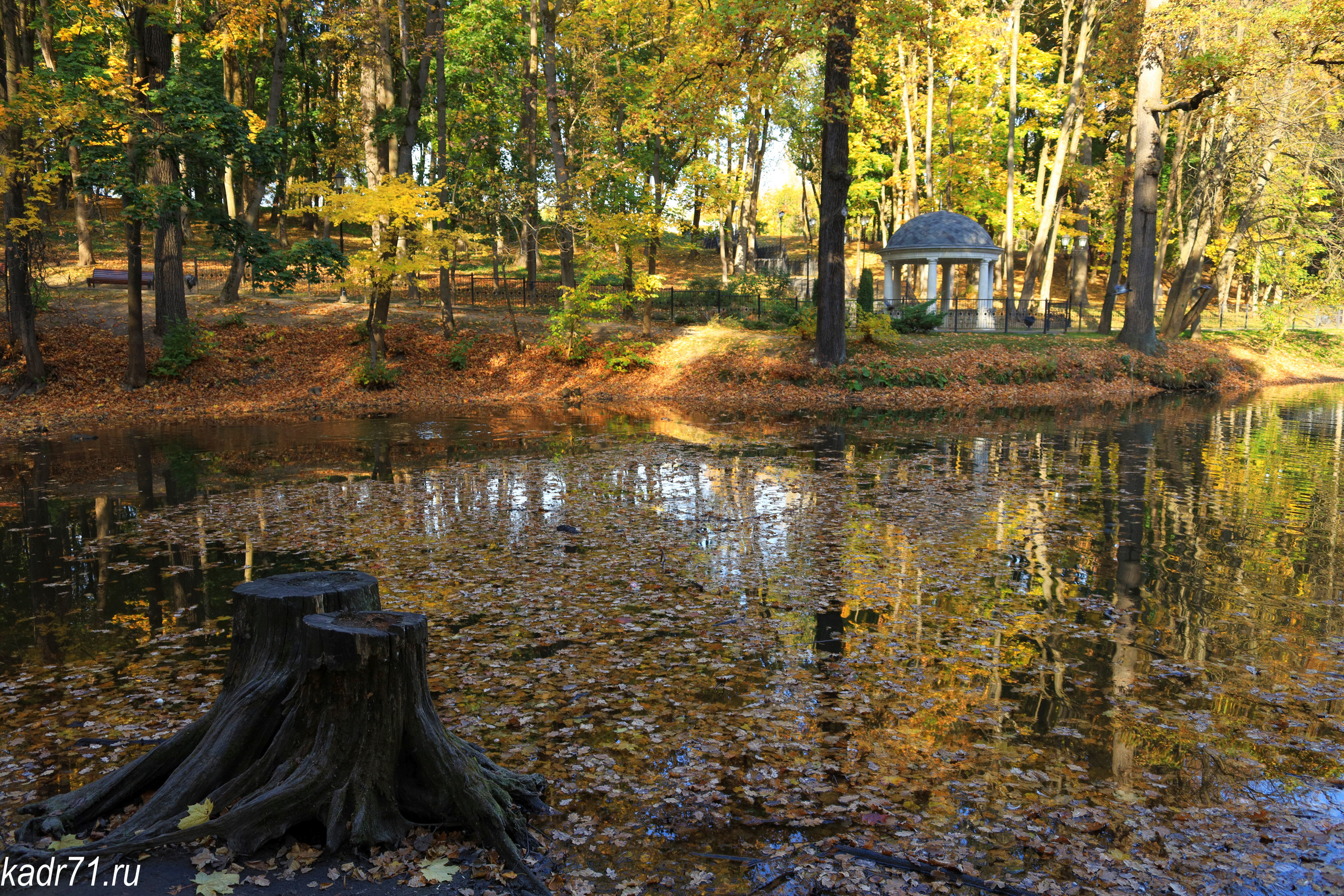 Платоновский парк города Тулы. Фотограф в Туле Крупский АнДРей. Фотостудия «КАДР71» в Туле
