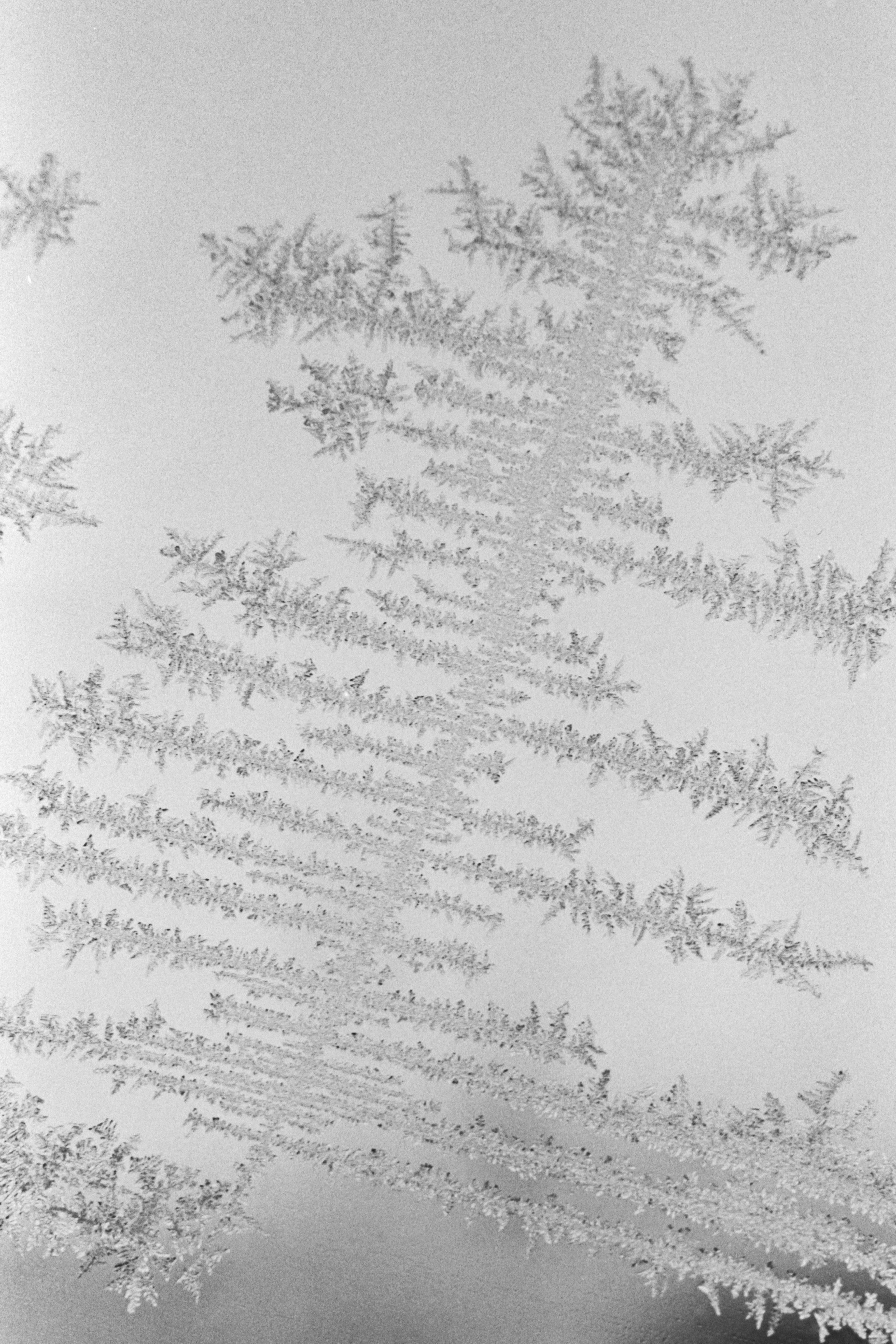 Пленочная история. Дмитрий Пропадалин, Нейрофотография