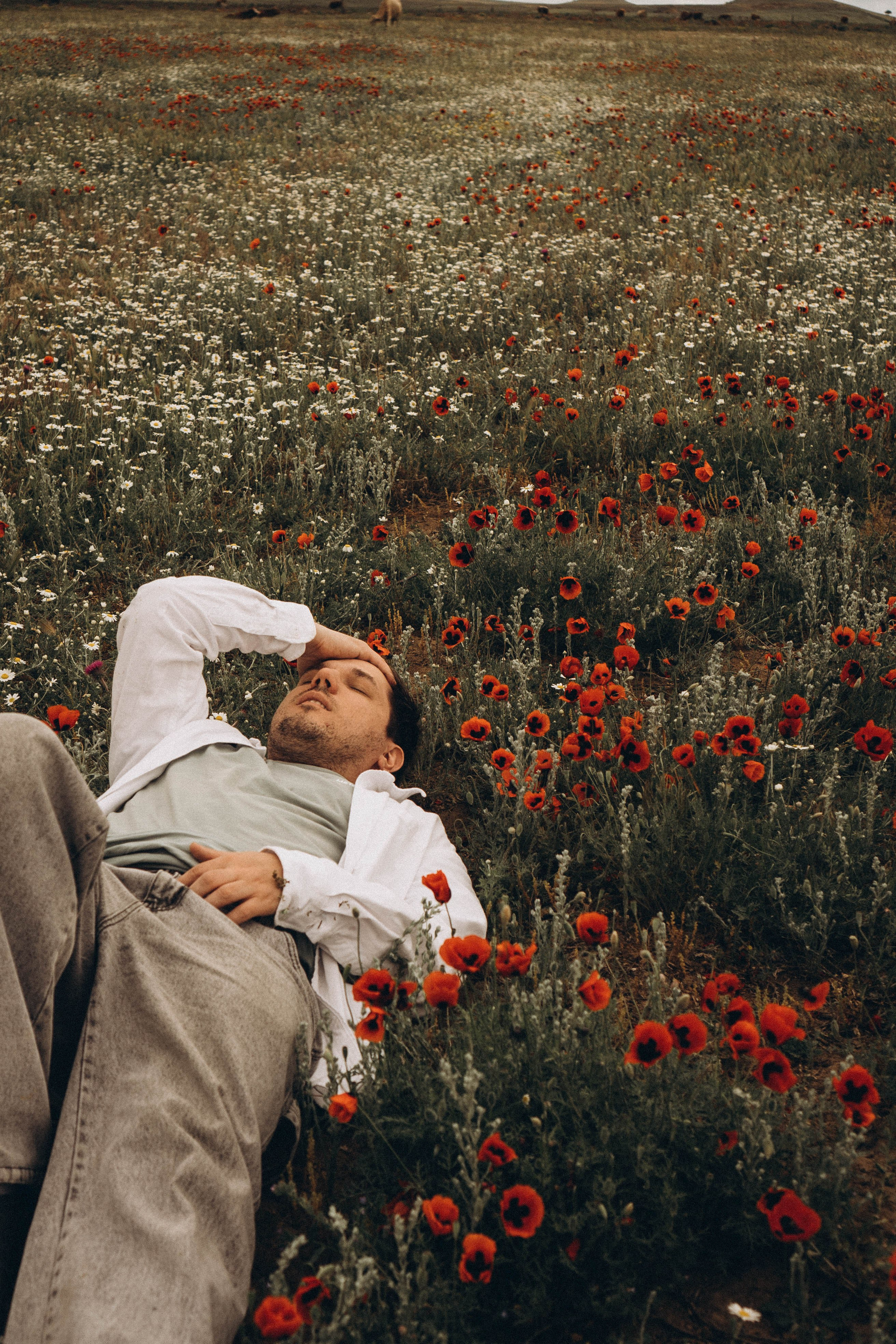 Маки. Профессиональный фотограф, Санкт-Петербург — Виктория Богомолова