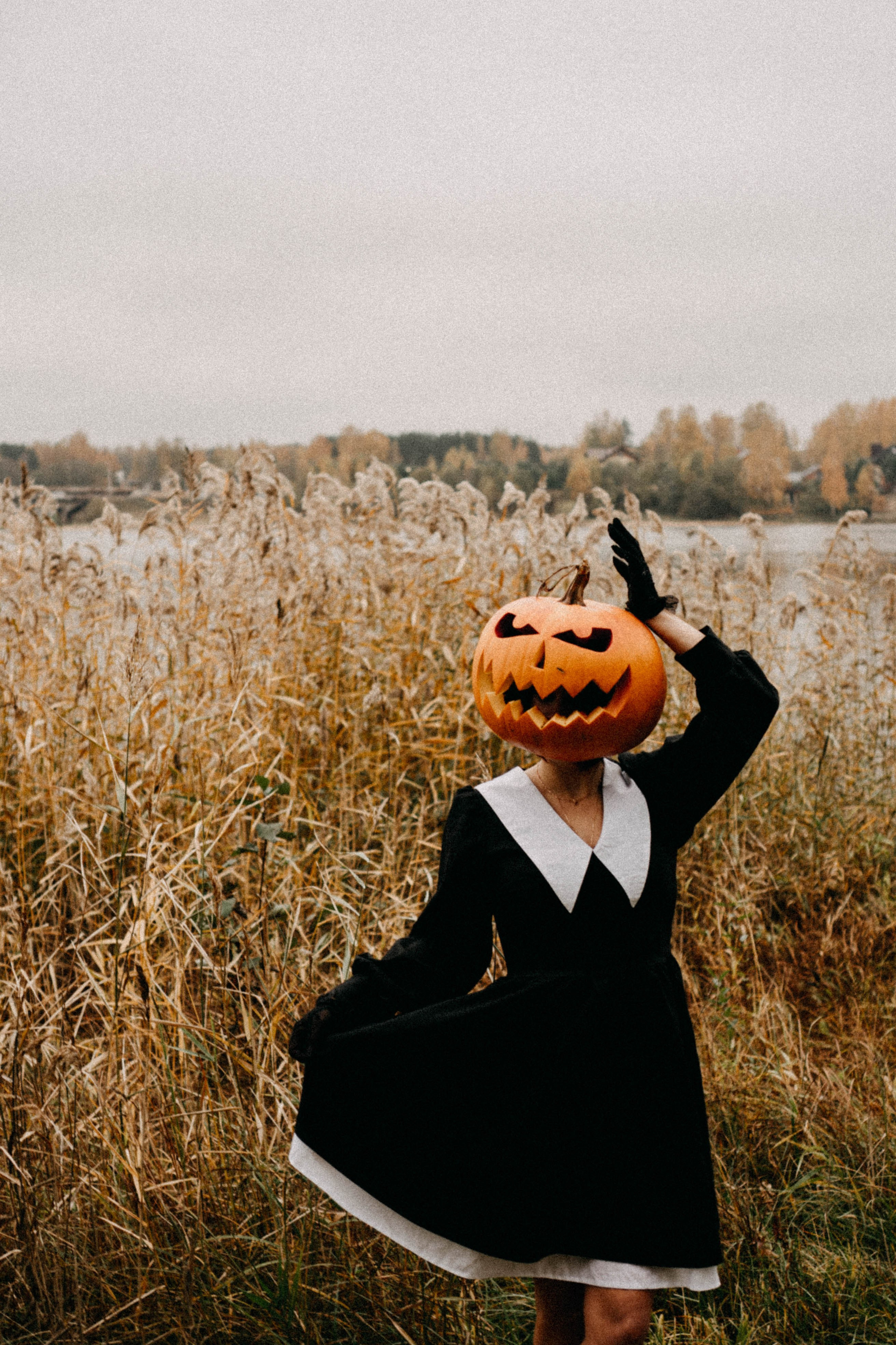 Осеняя. Профессиональный фотограф, Санкт-Петербург — Виктория Богомолова