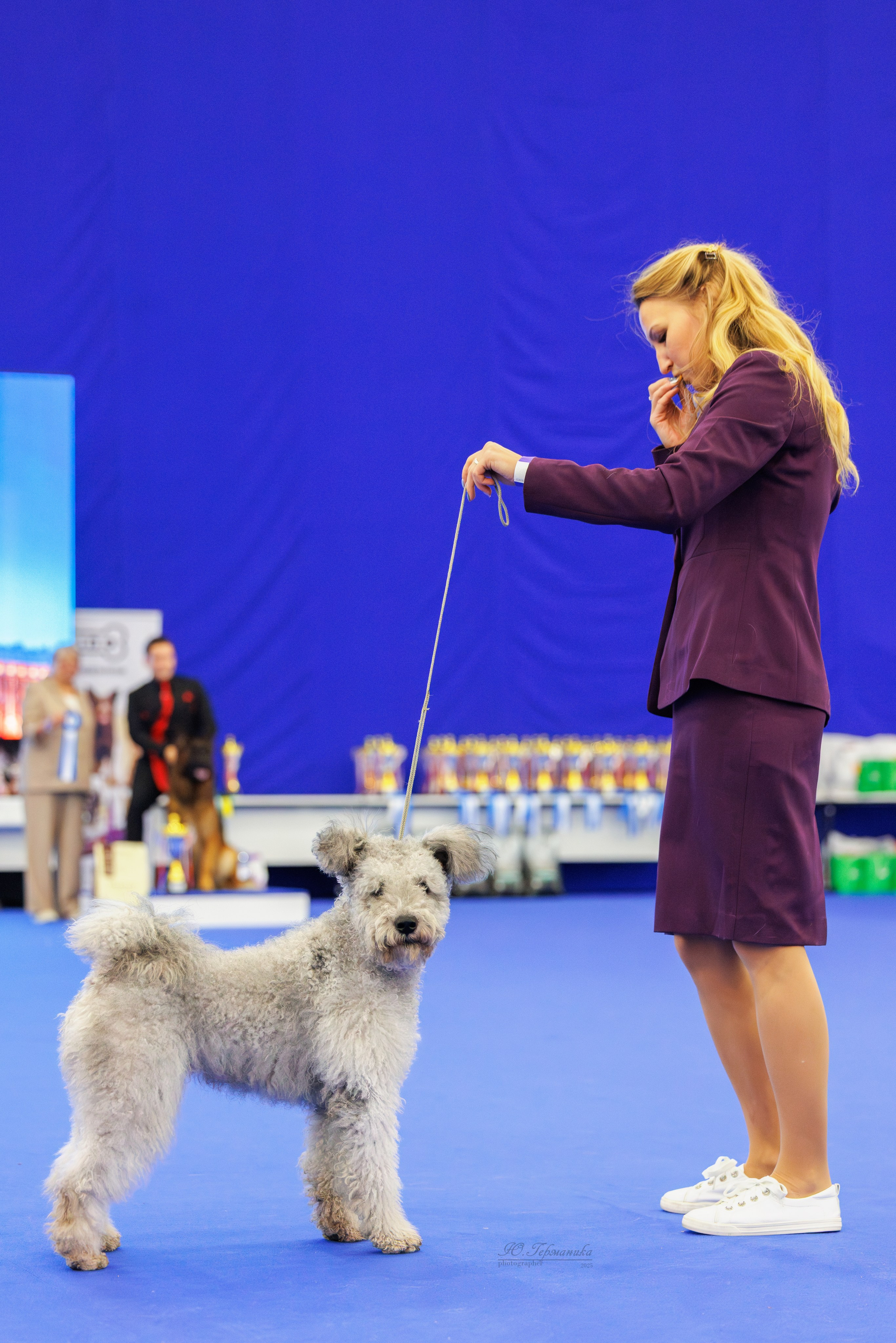 Питер 12-13.12.2025. Фотограф-анималист Юлия Германика