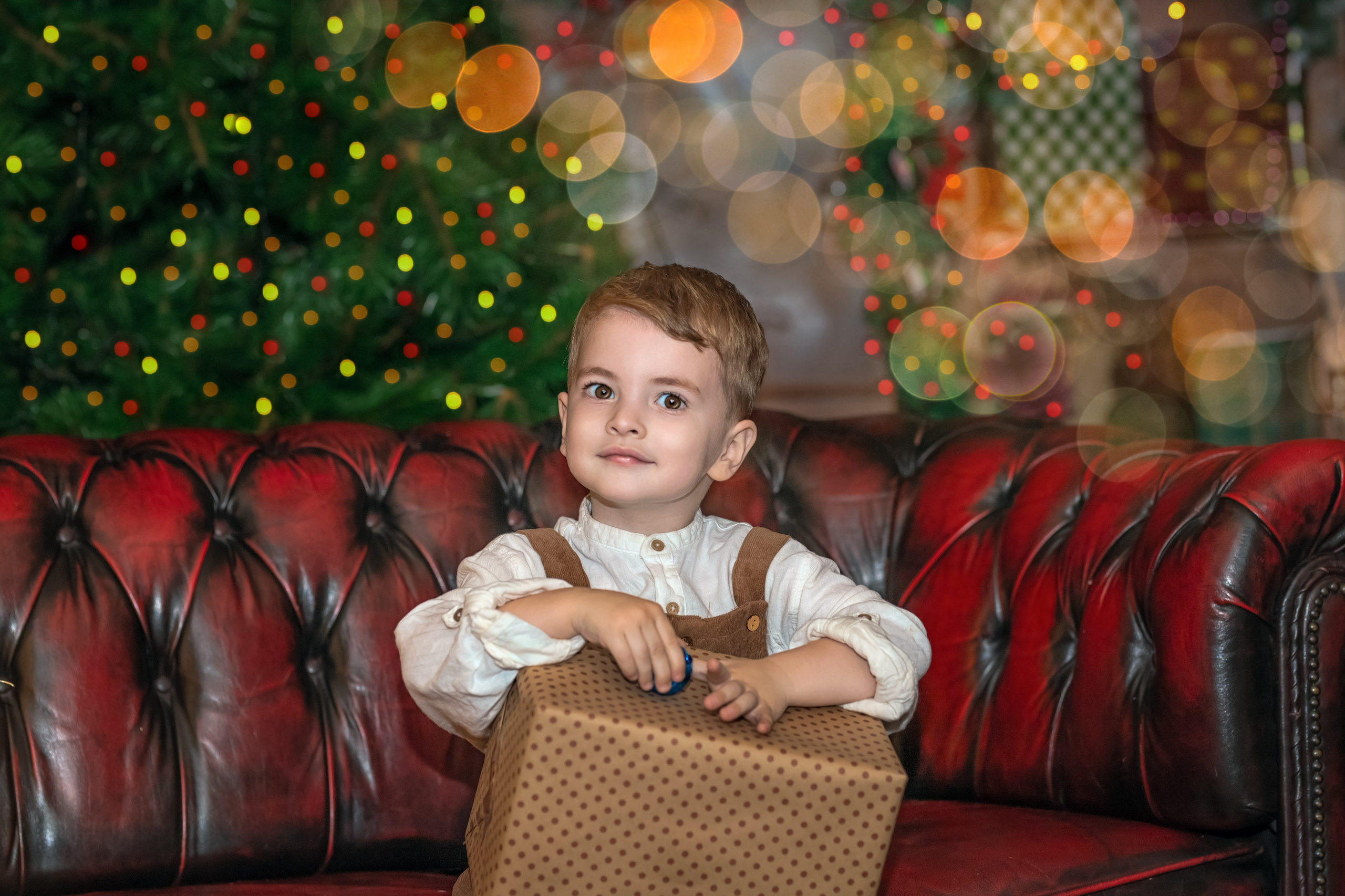 НОВЫЙ ГОД и Рождество в СТУДИЯХ. Фотограф Алина Лебедь