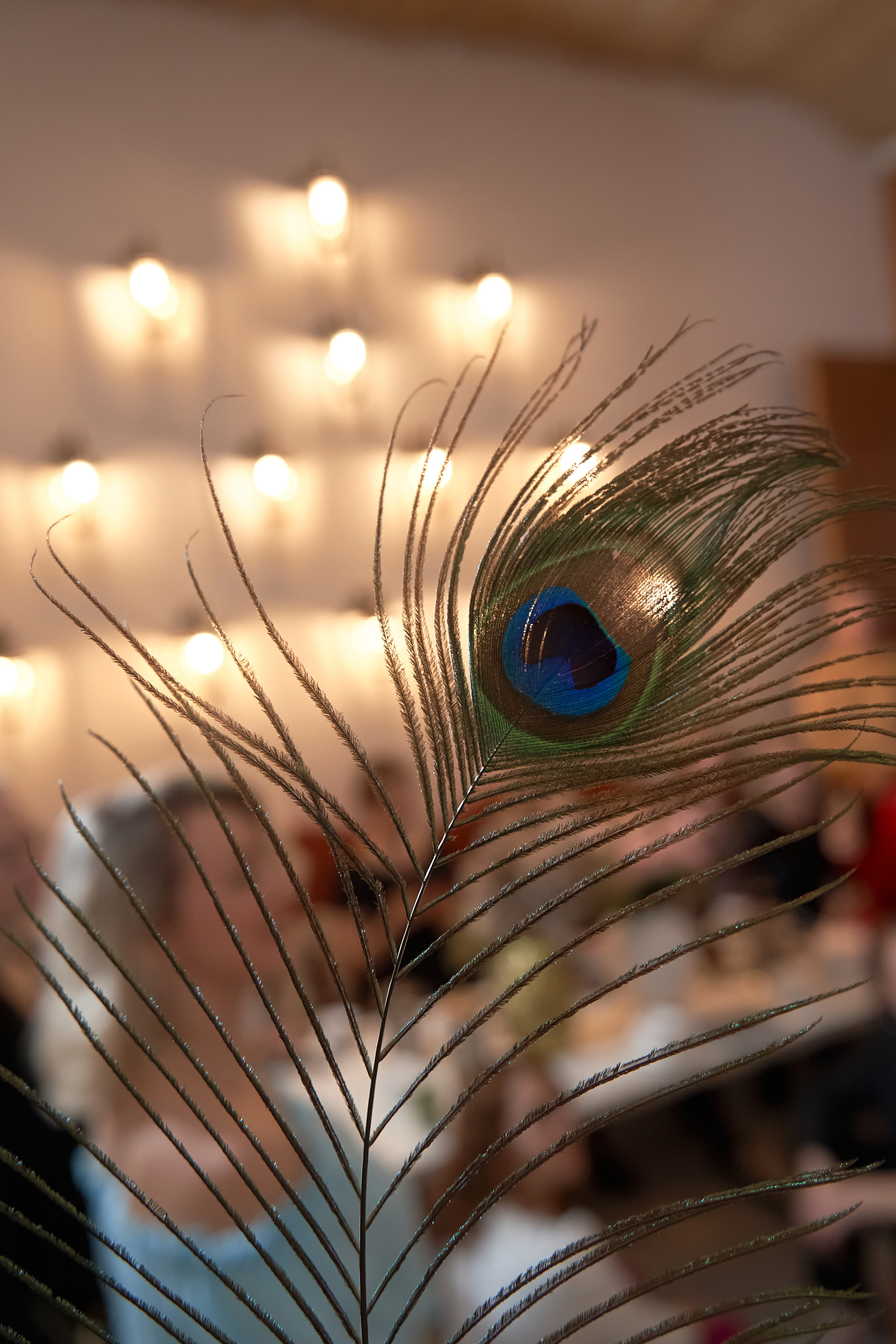 Проект Академия красоты. Мартазова Екатерина фотограф. Екатеринбург