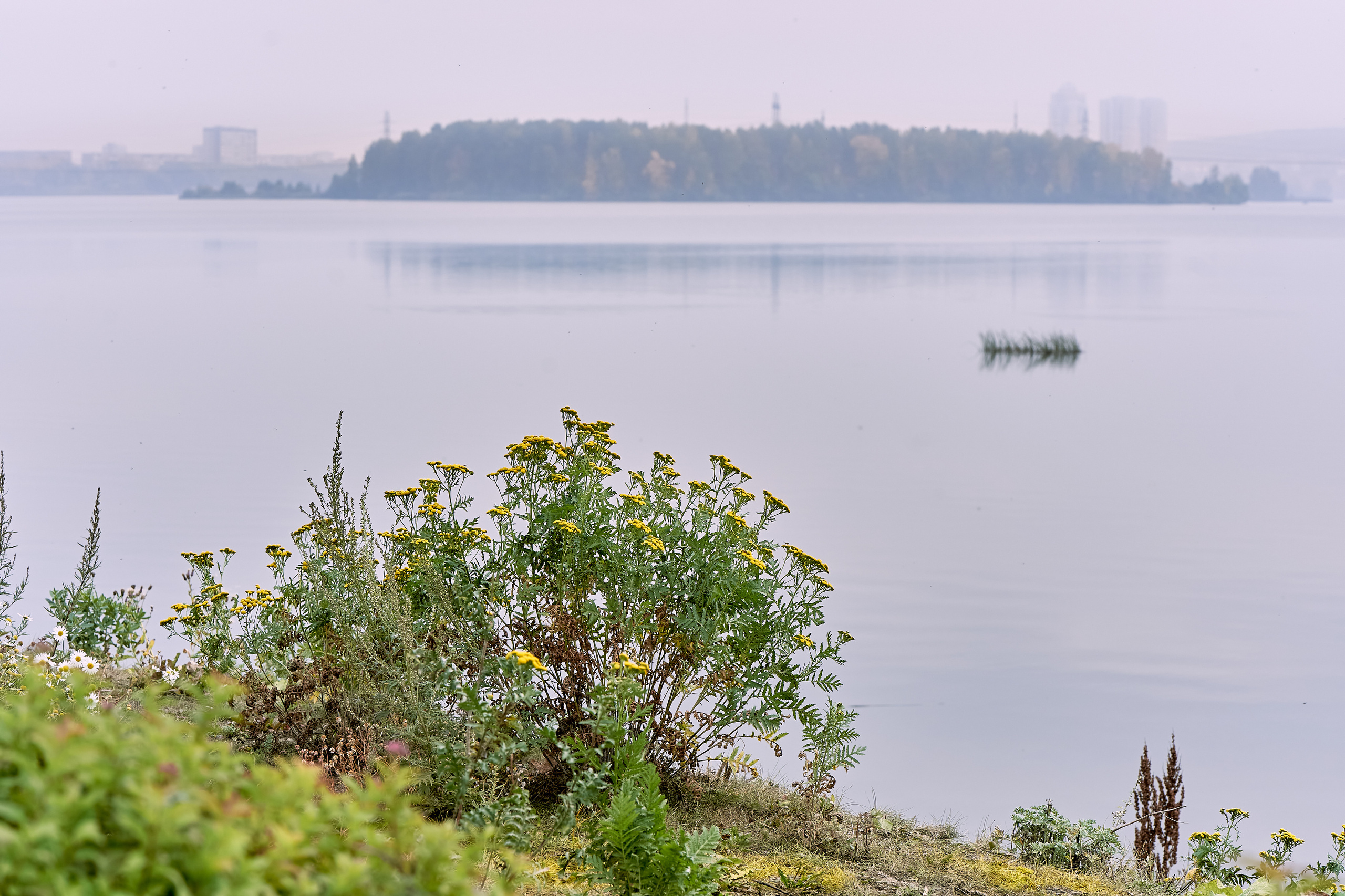 Света и Саша «Свадьба с драйвом». Мартазова Екатерина фотограф. Екатеринбург