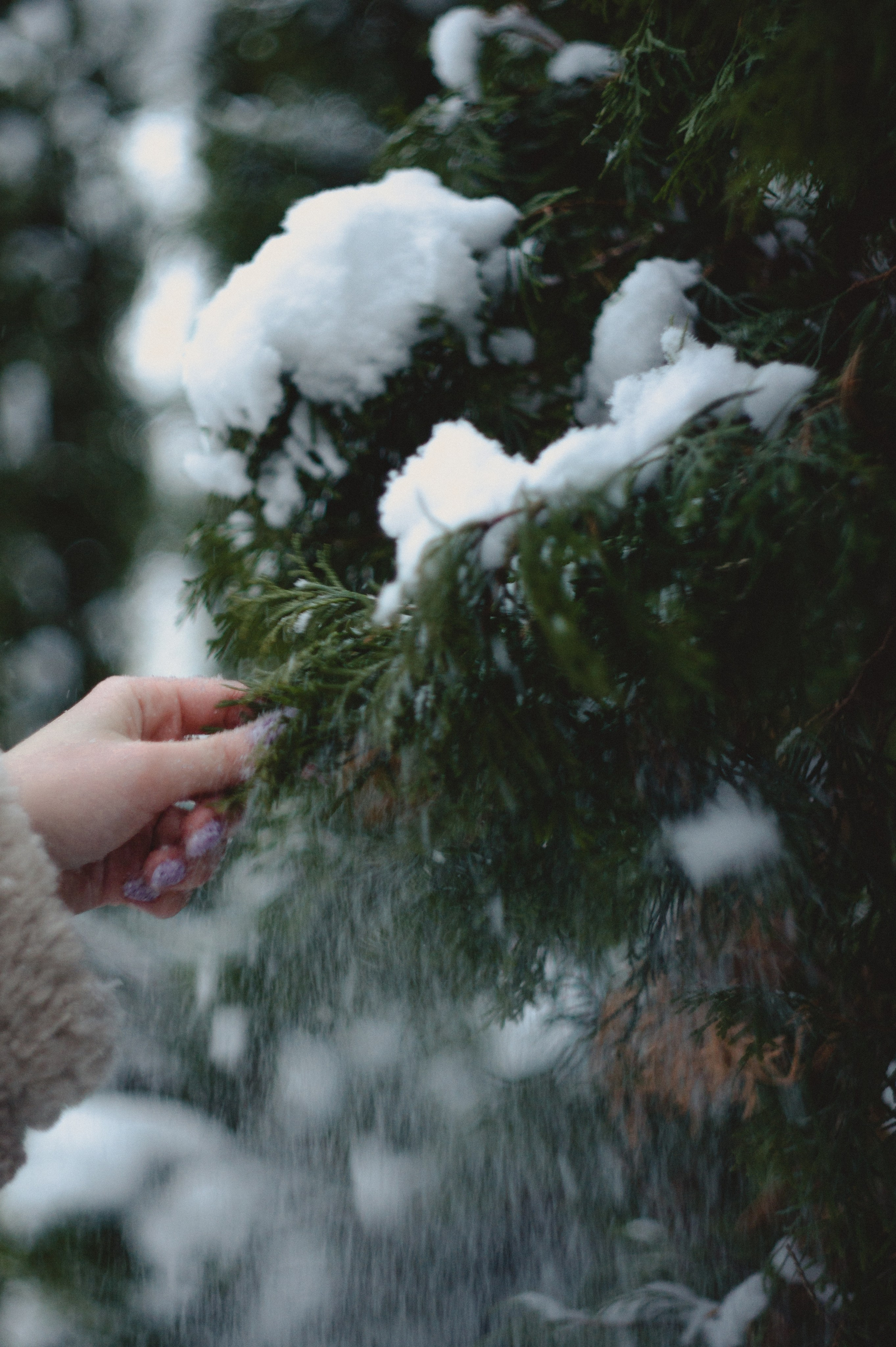 Альбина. Зимняя сказка. Фотограф Людмила Белова
