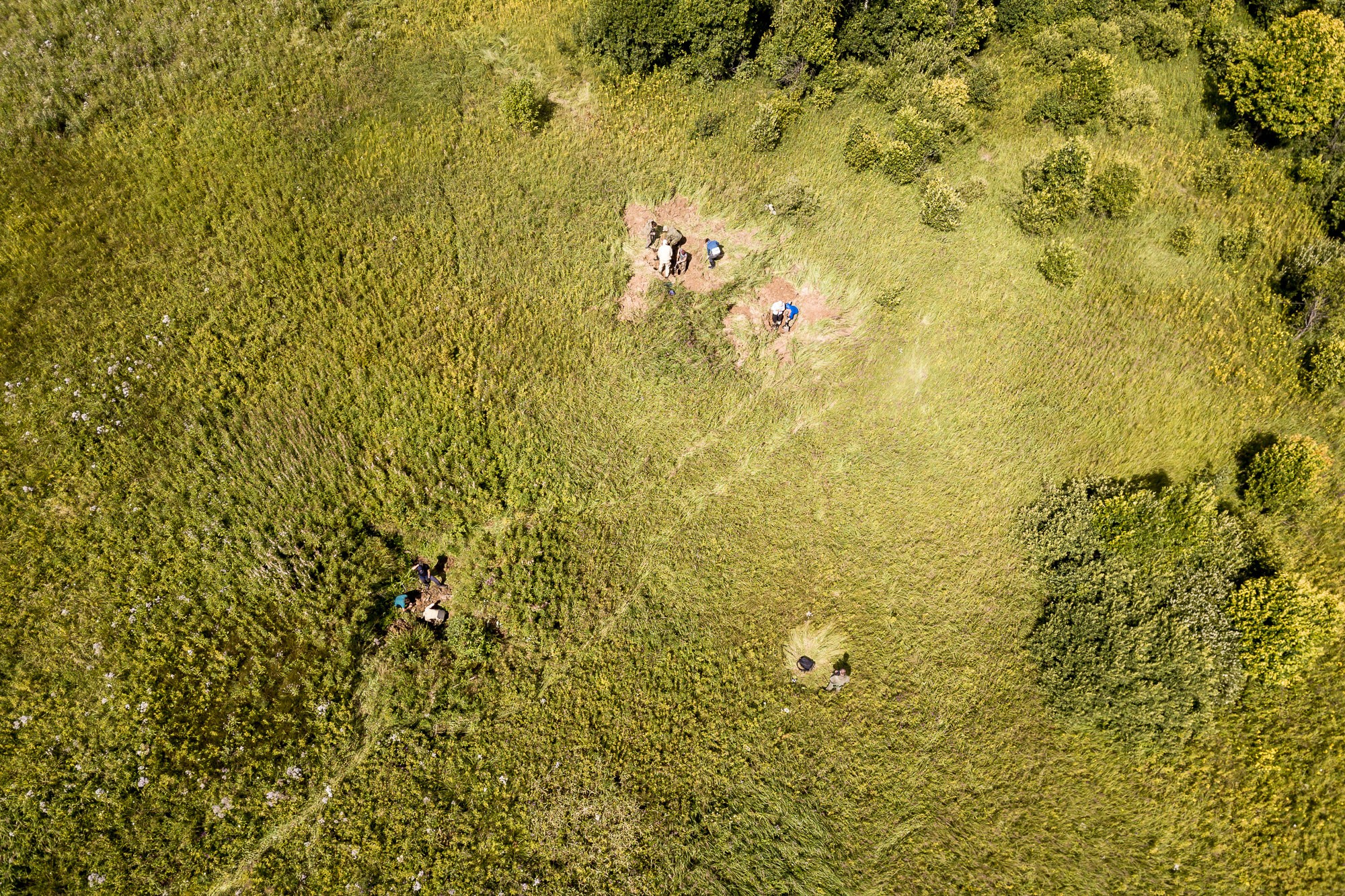 Вахта памяти 2018. Фотограф Алексей Скоробогатько