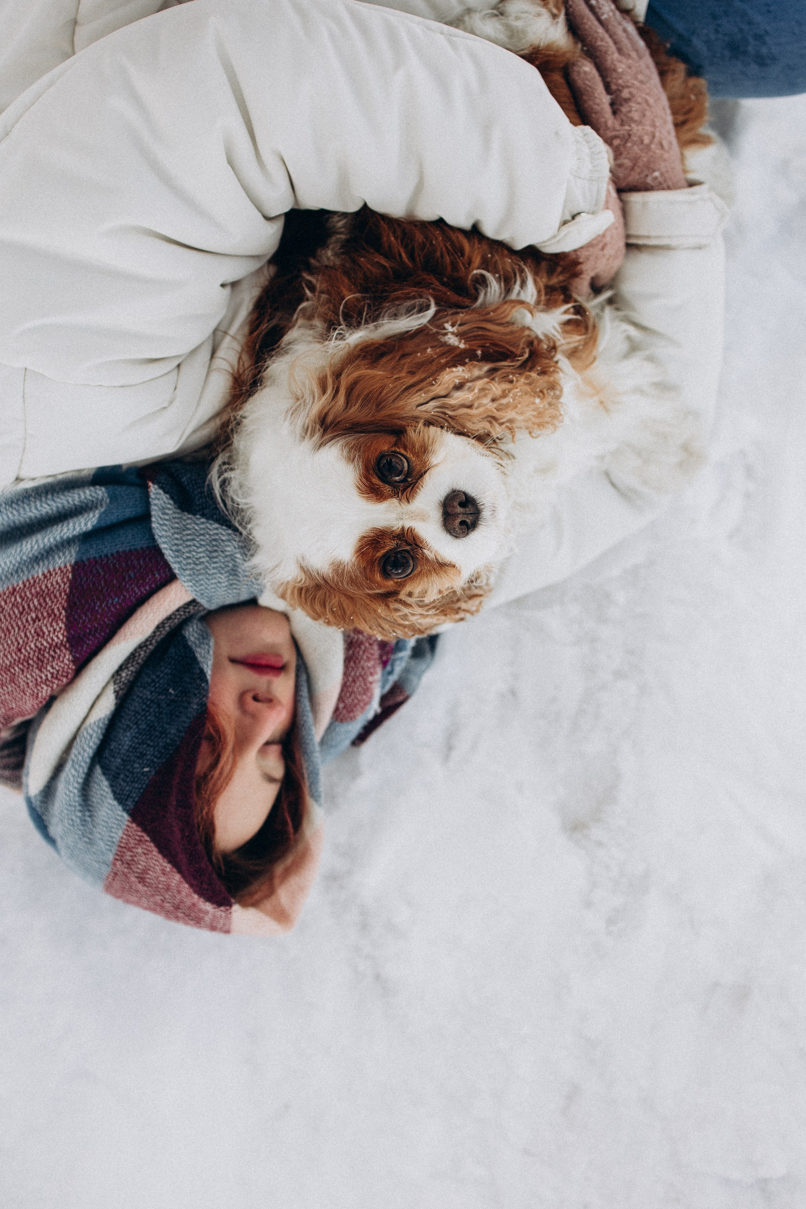 Рита и Нюша. Фотораф — анималист Мария Шистка