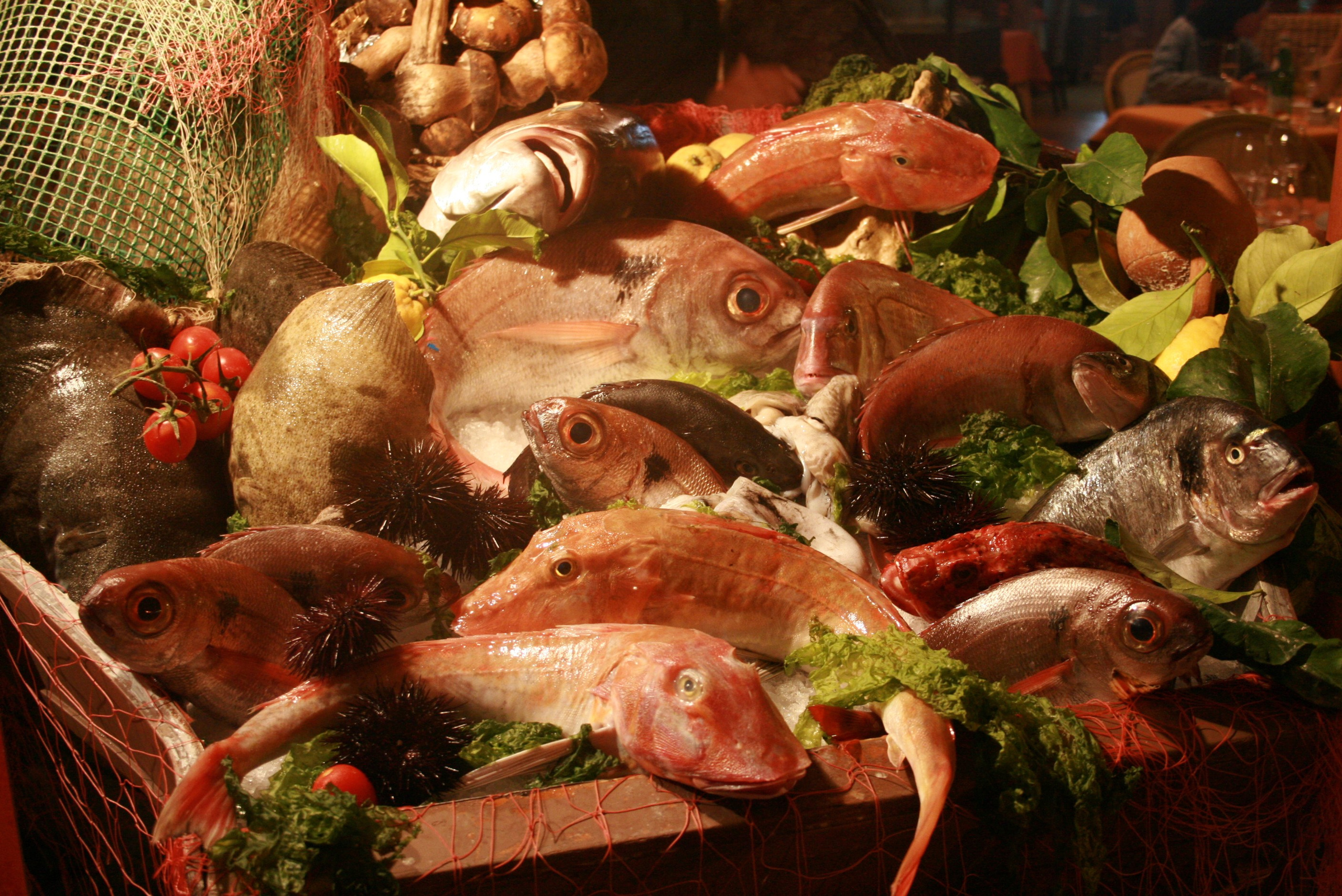 ИТАЛИЯ. Портретный и репортажный фотограф Наталья Горобец