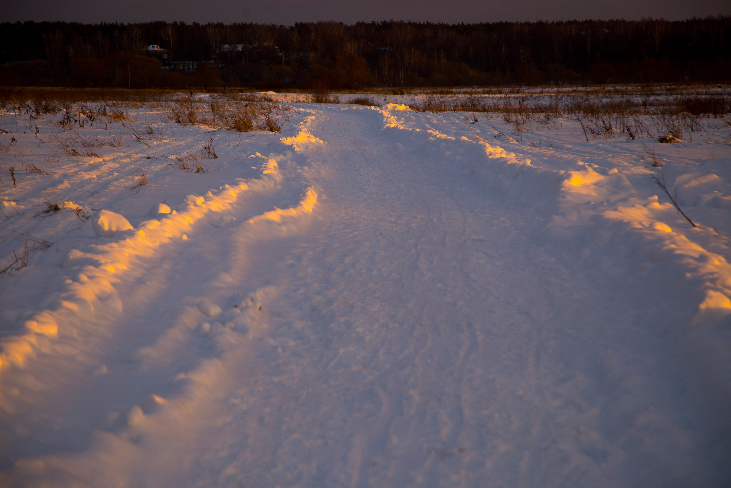 Фото. Фотограф Лагутин Анатолий