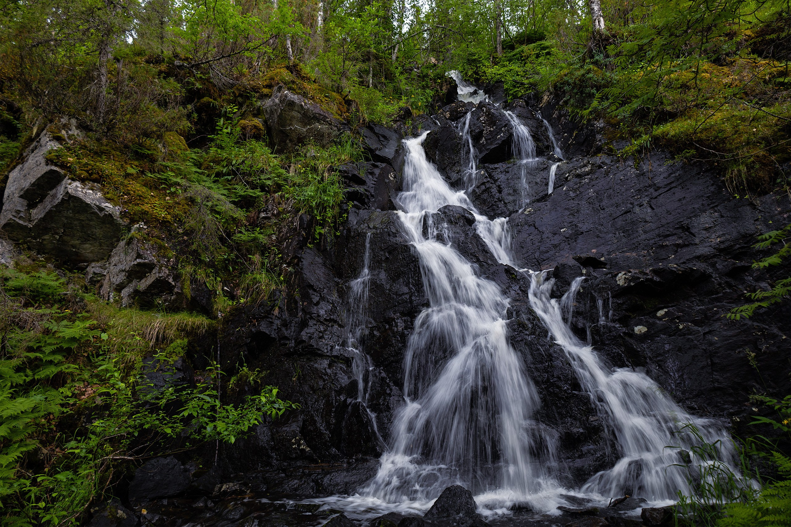 Пейзажи. Сайт фотографа Елены Михайловой. Фотосессии на пленэре в Сестрорецке
