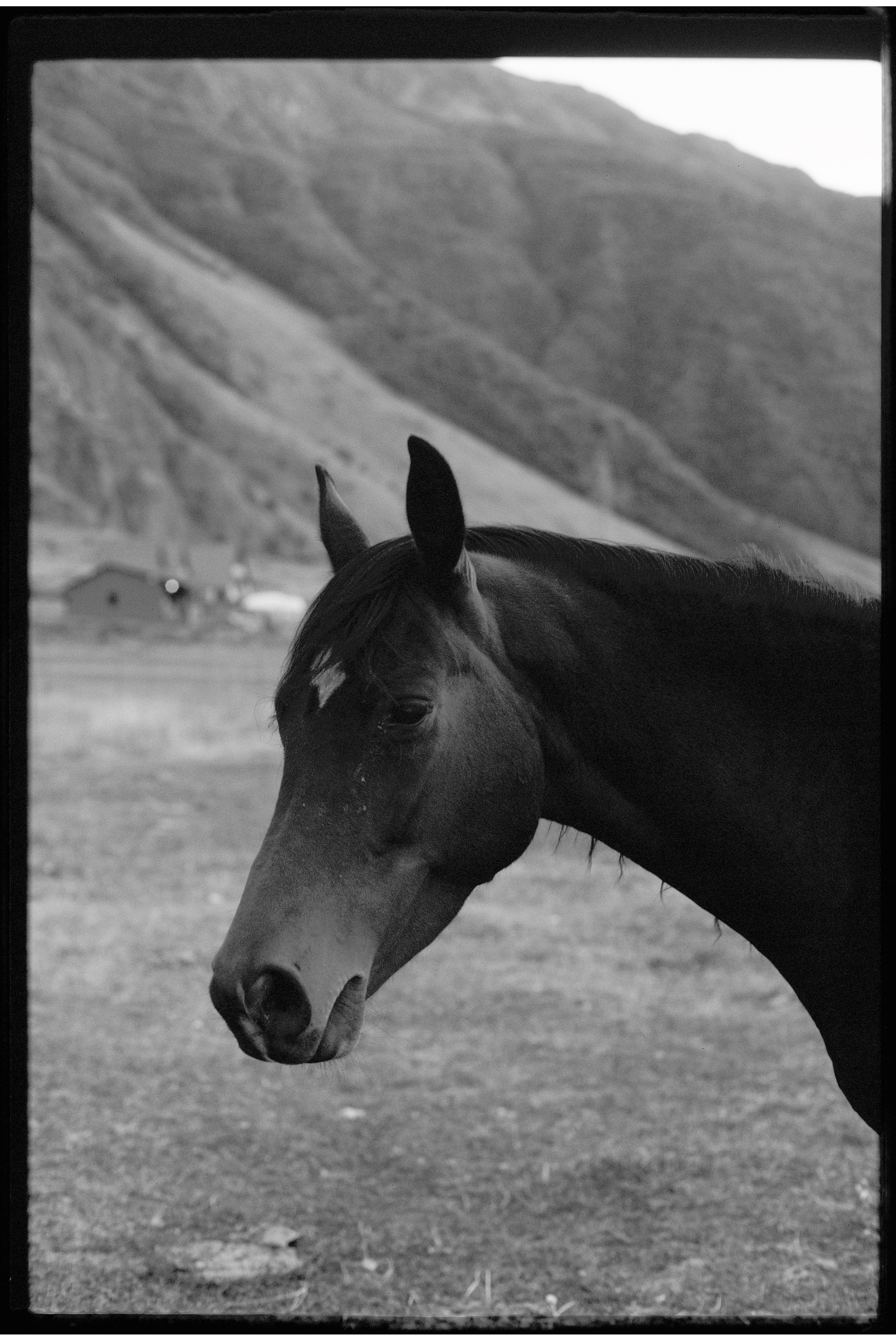 Travel. Yana Bulgakova Photographhy