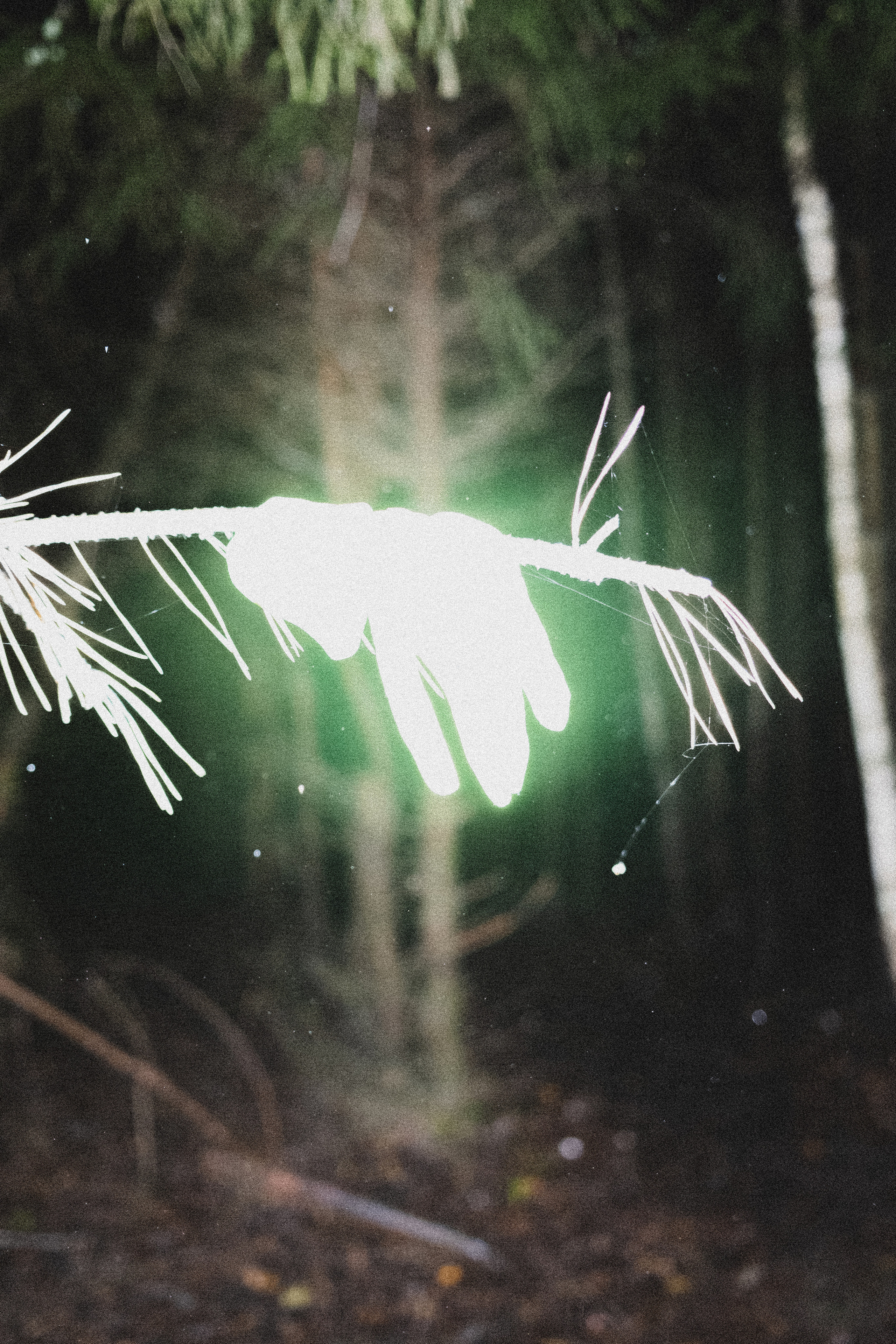 Your yool'22. Фотограф Яна Булгакова