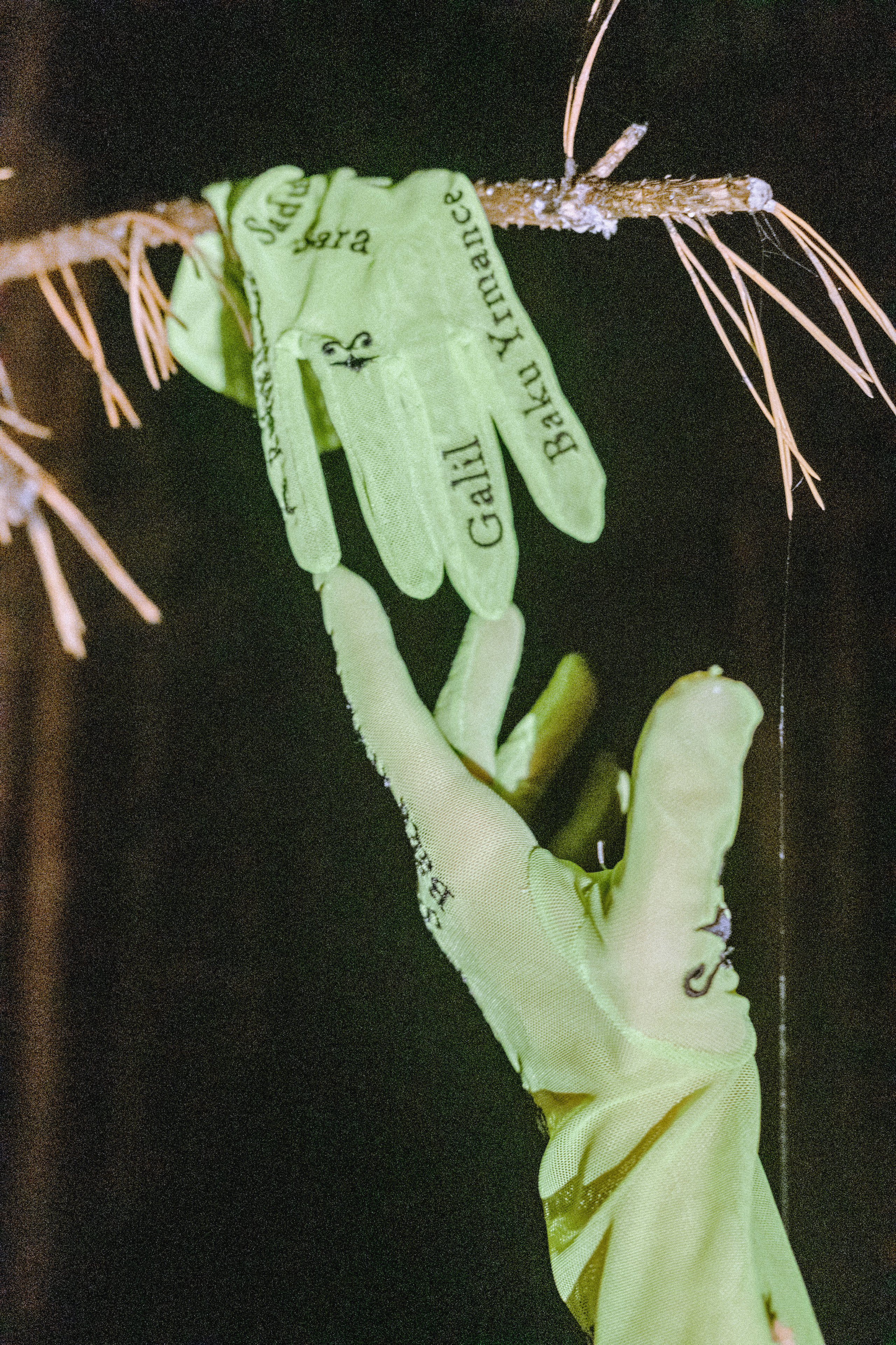 Your yool'22. Фотограф Яна Булгакова