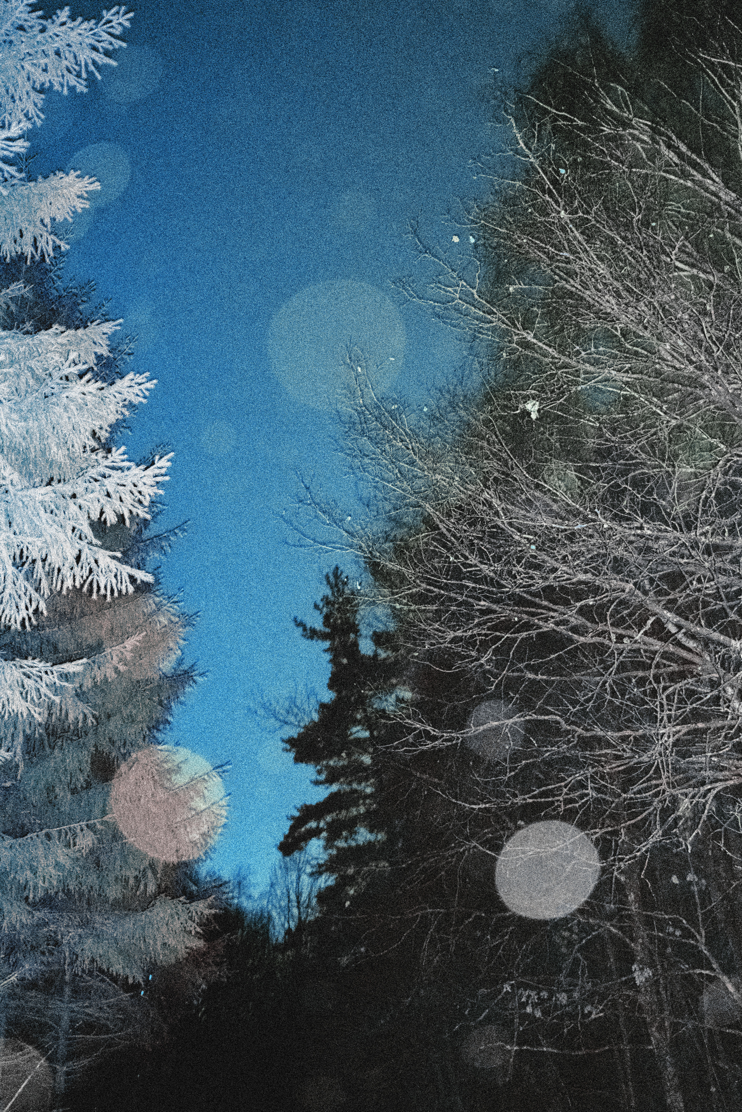 Your yool'22. Фотограф Яна Булгакова