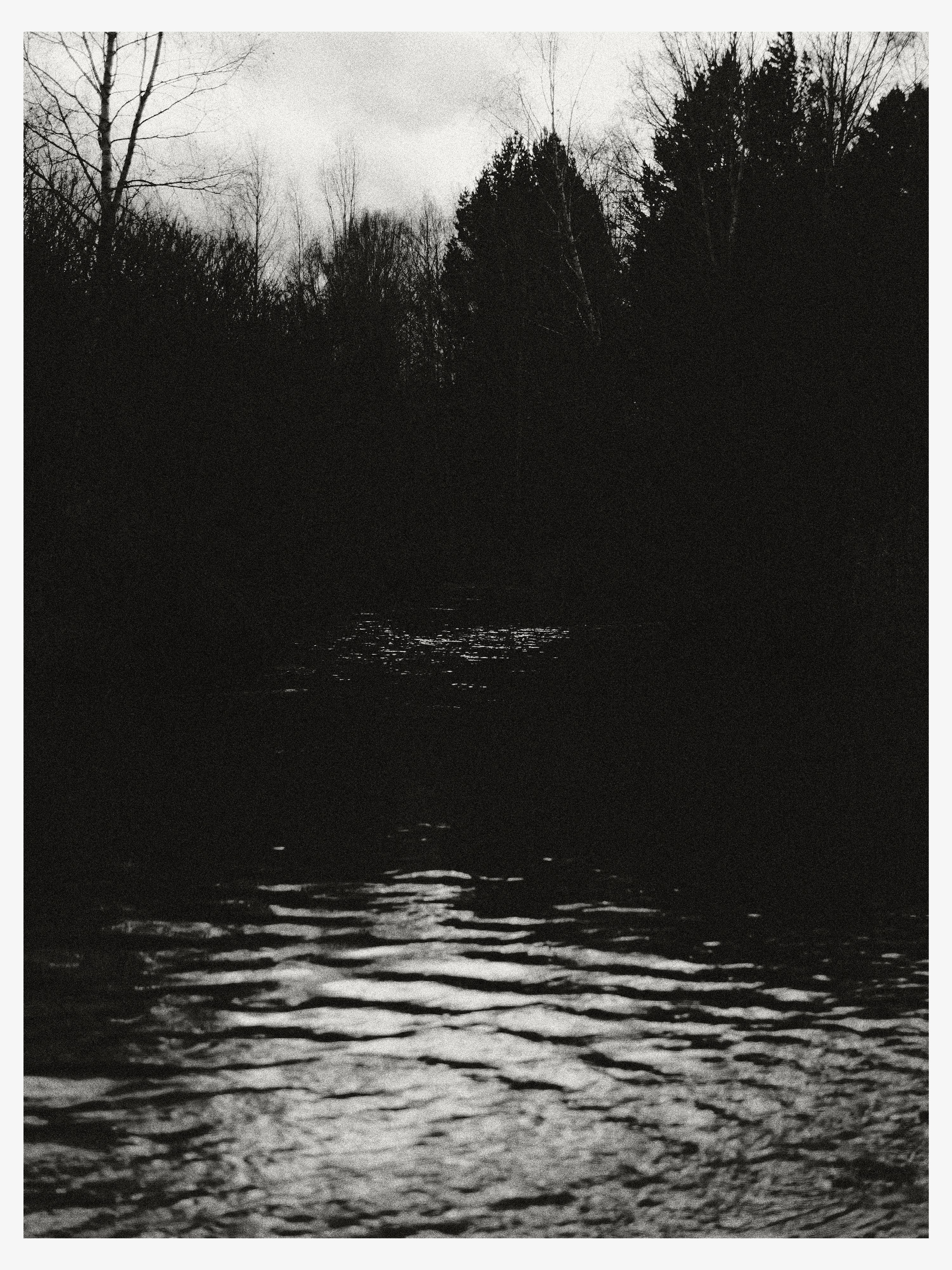 02.11.25 — Ларинский заказник (Томская обл.). Mark Zarya — Casual Photography