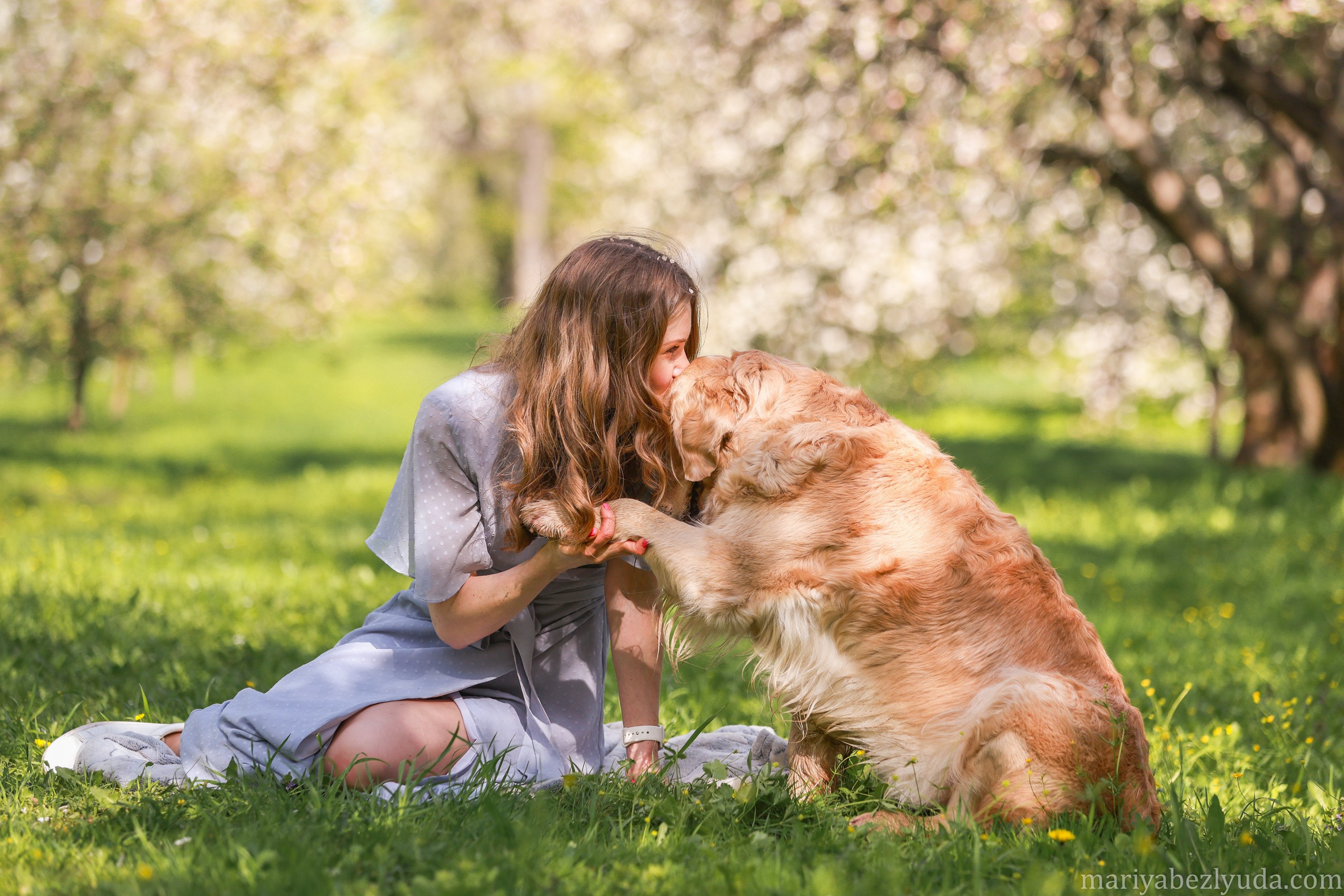 Собаки и их люди❤️. Семейный и детский фотограф в Москве Мария Быкова