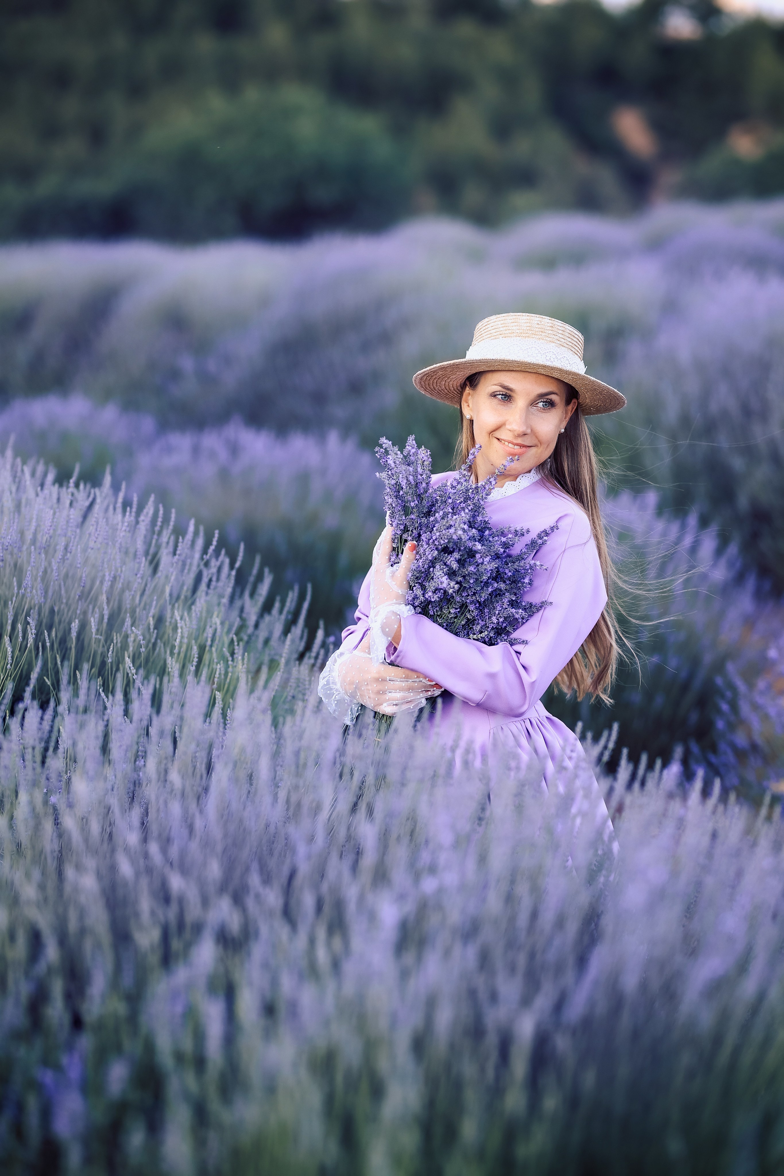 Lavender fields in Turkey