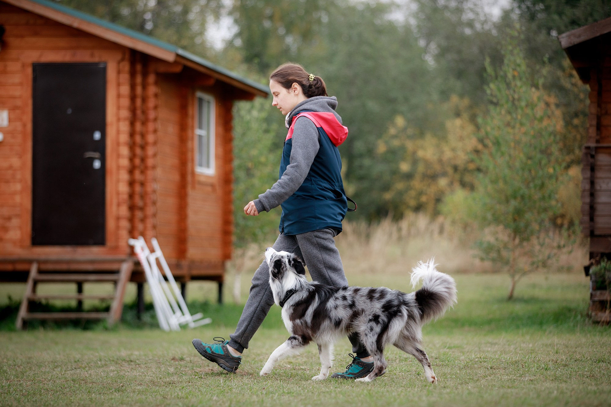 Лагерь по ОБД с Инной Баженовой. Фотограф-анималист Mary Mart — Москва, Питер