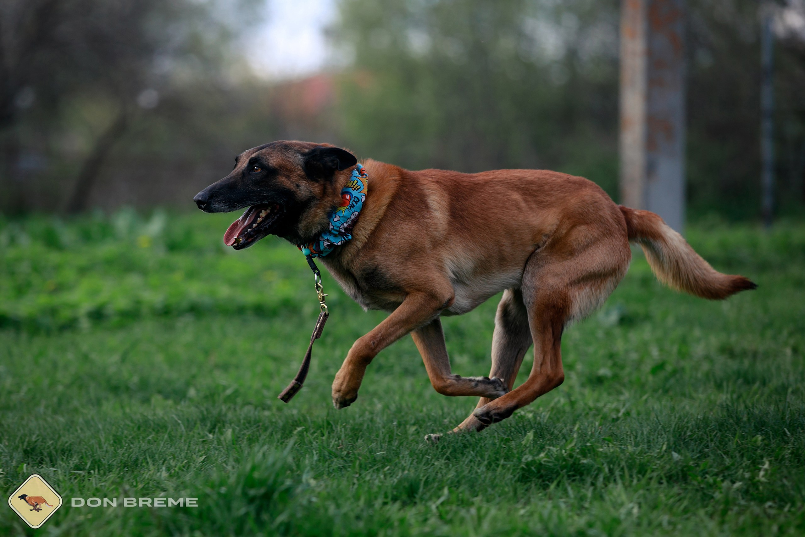 Семинар для фигурантов, день 2. Фотограф-анималист Mary Mart — Москва, Питер