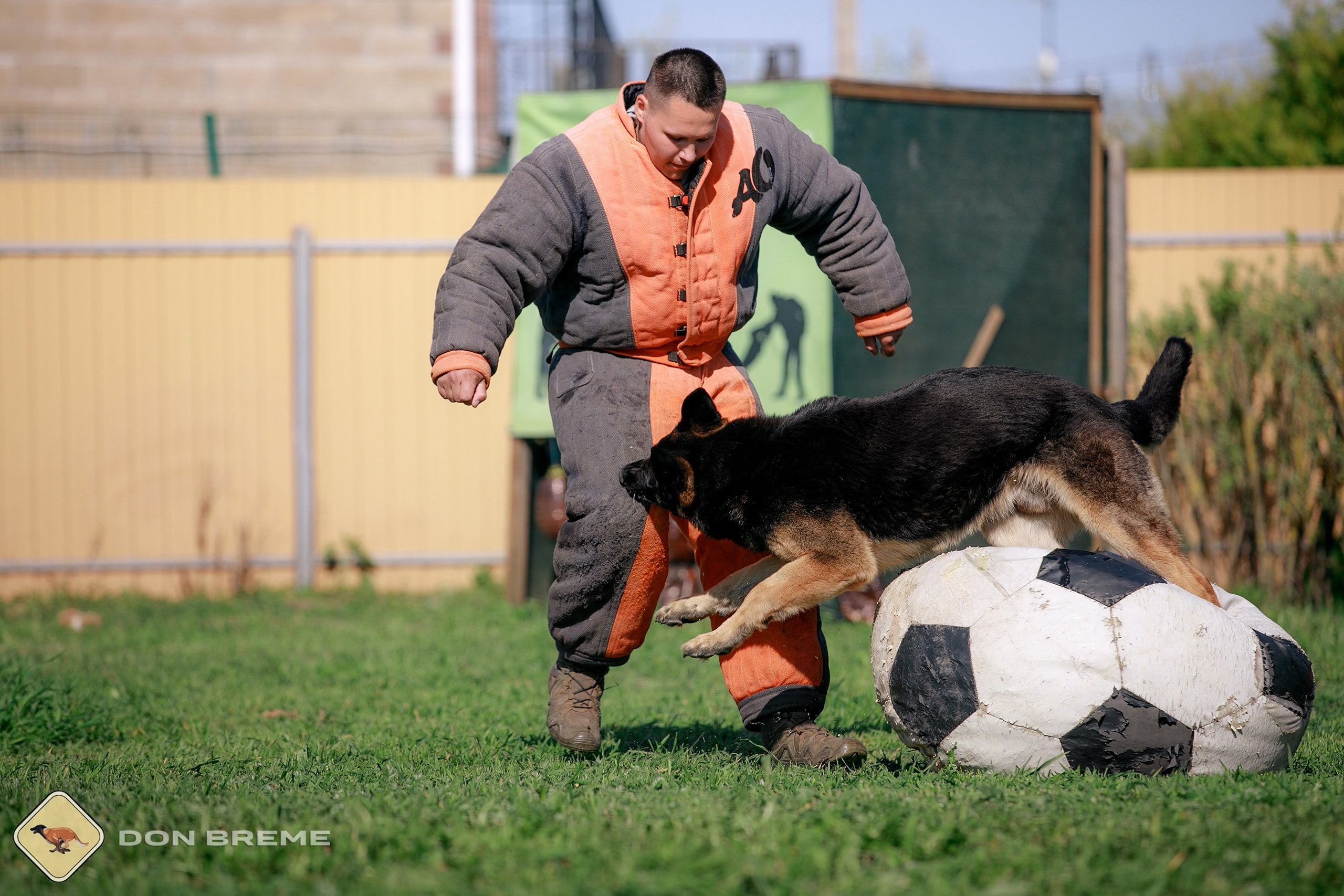 Семинар для фигурантов, день 4. Фотограф-анималист Mary Mart — Москва, Питер