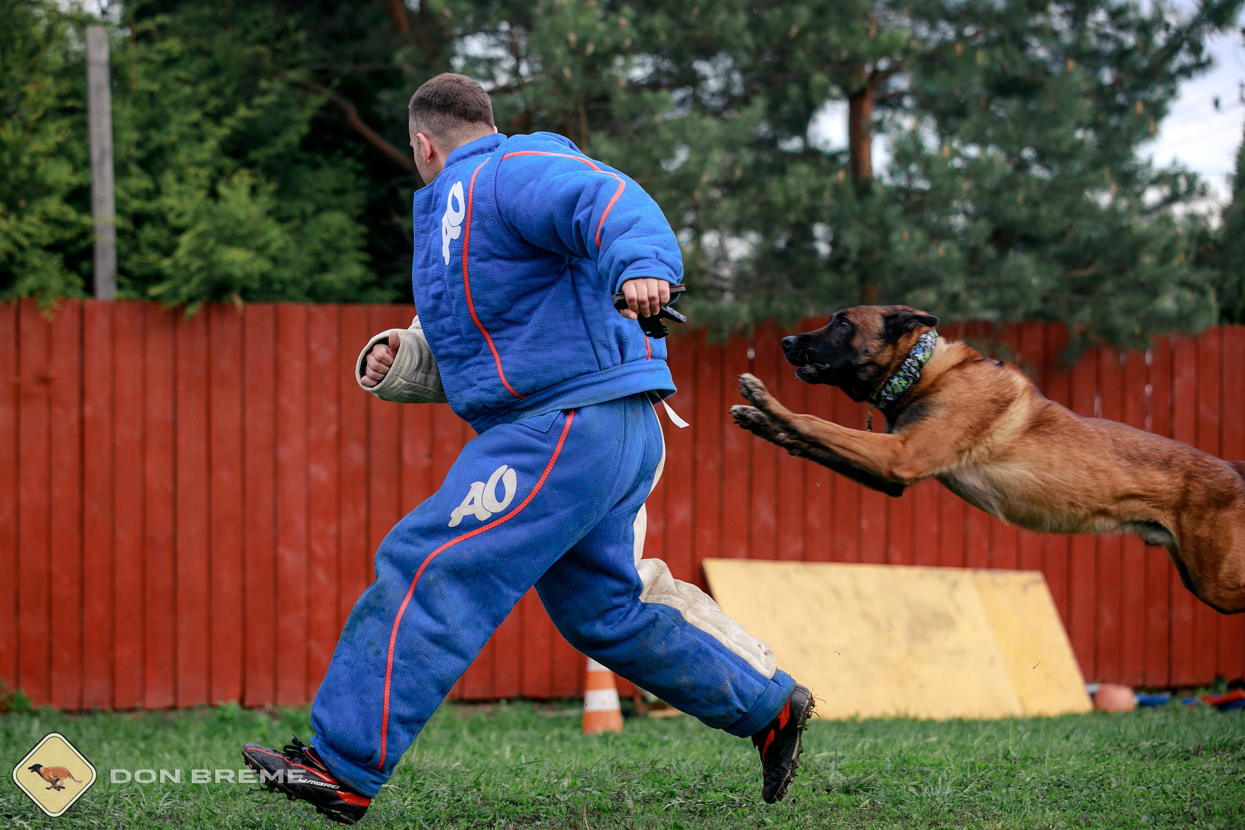Семинар для фигурантов, день 2. Фотограф-анималист Mary Mart — Москва, Питер