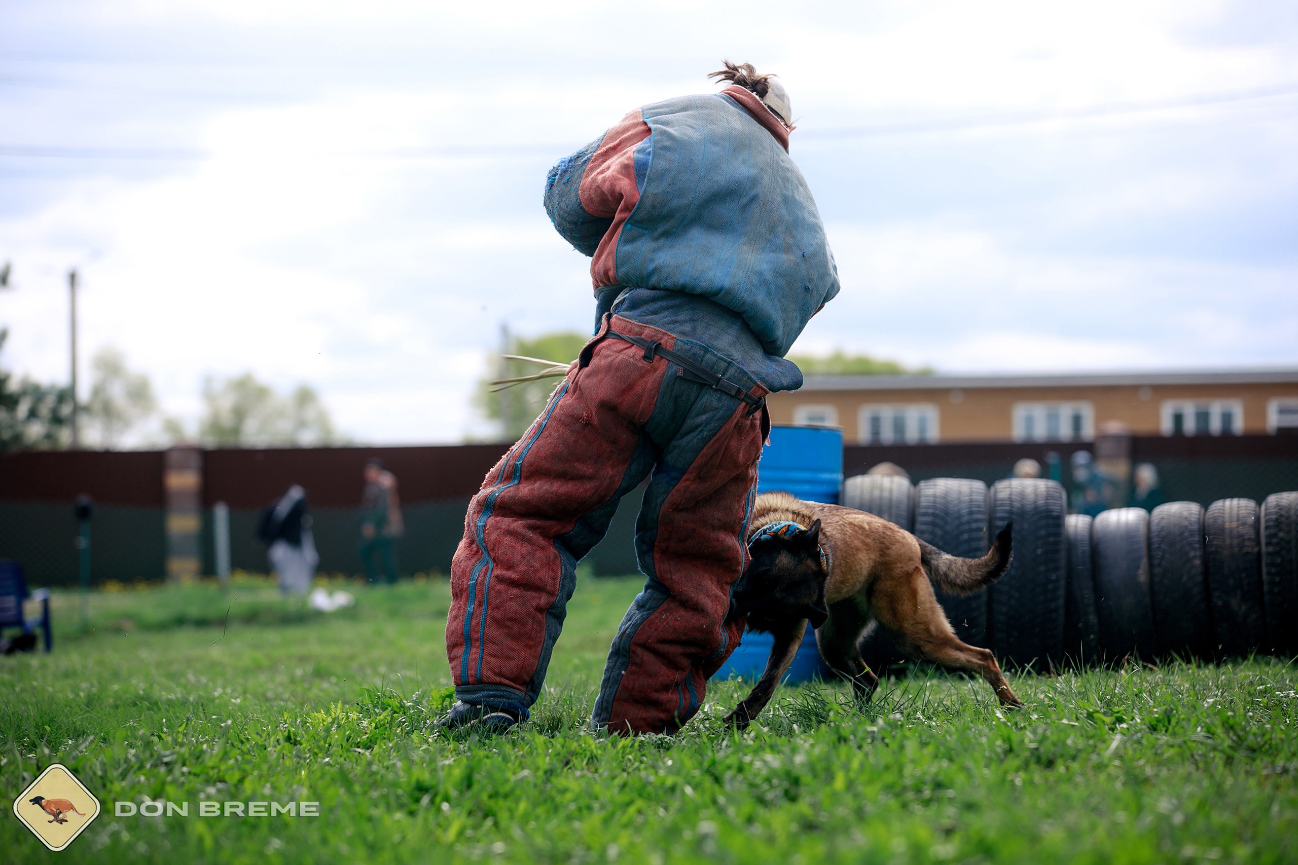 Семинар для фигурантов, день 2. Фотограф-анималист Mary Mart — Москва, Питер