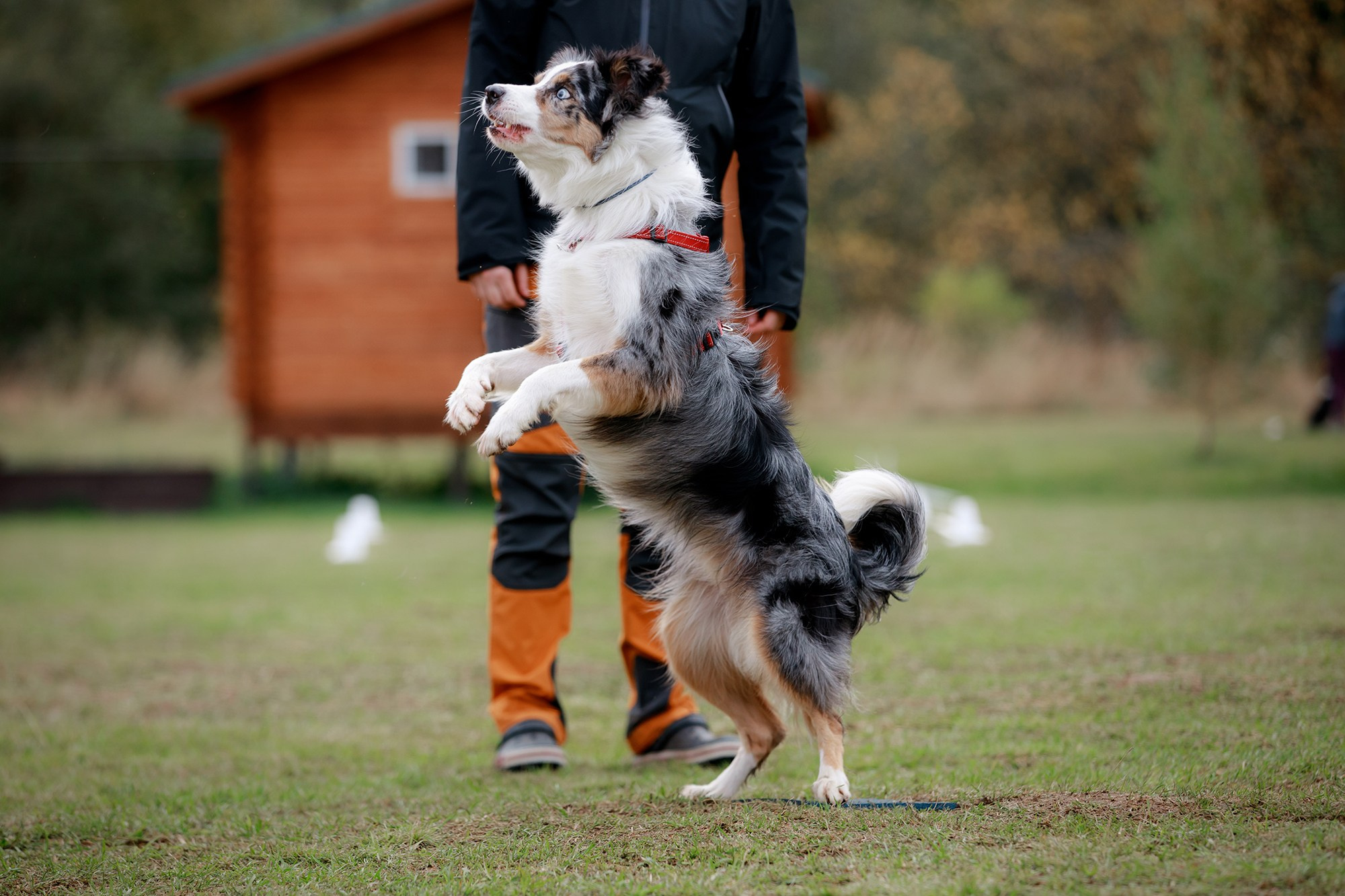 Лагерь по ОБД с Инной Баженовой. Фотограф-анималист Mary Mart — Москва, Питер