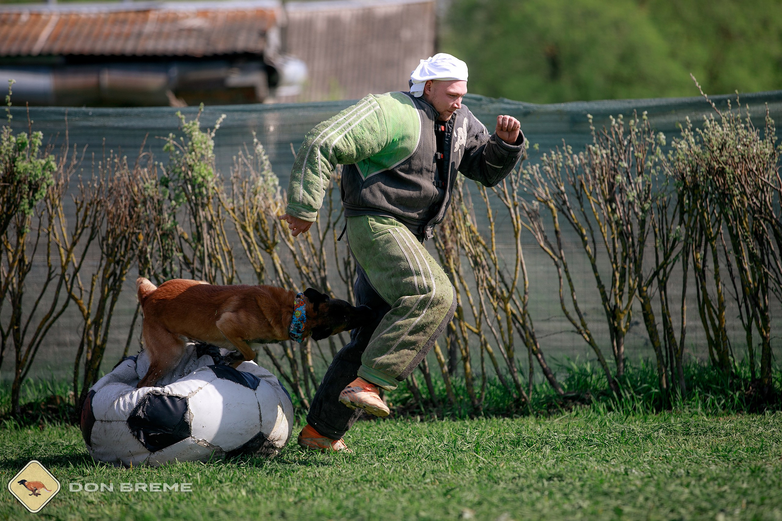 Семинар для фигурантов, день 4. Фотограф-анималист Mary Mart — Москва, Питер