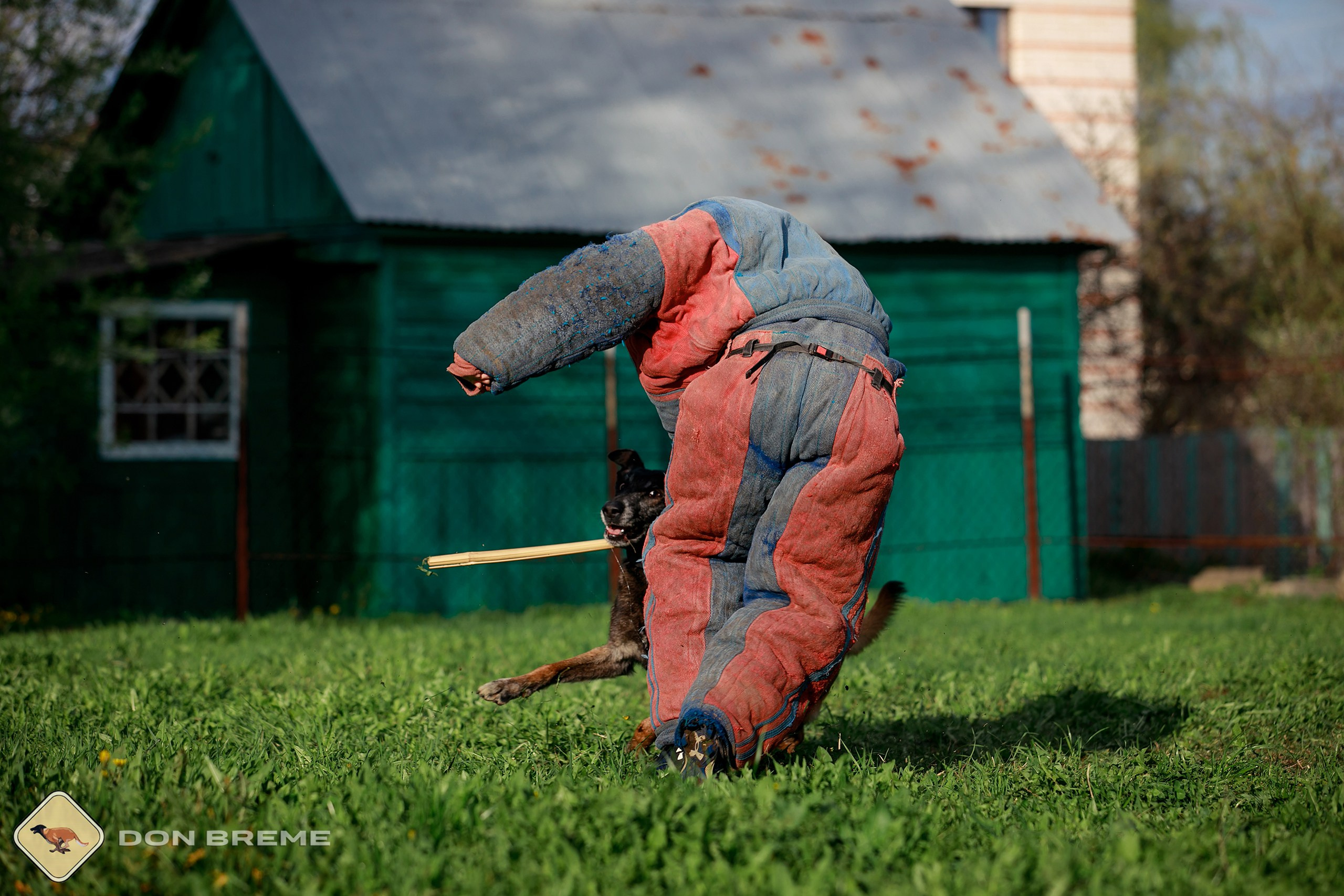 Семинар для фигурантов, день 2. Фотограф-анималист Mary Mart — Москва, Питер