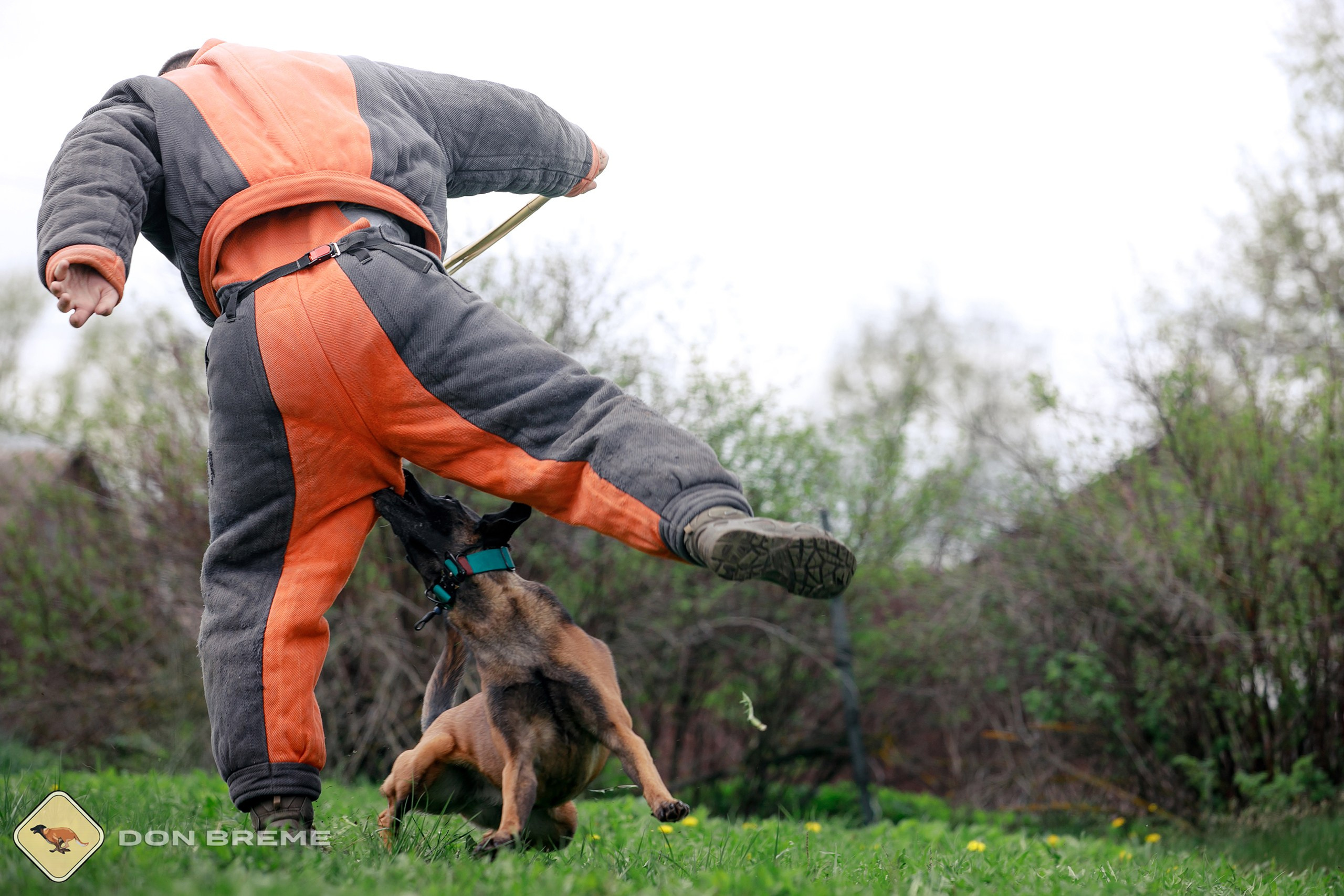 Семинар для фигурантов, день 2. Фотограф-анималист Mary Mart — Москва, Питер