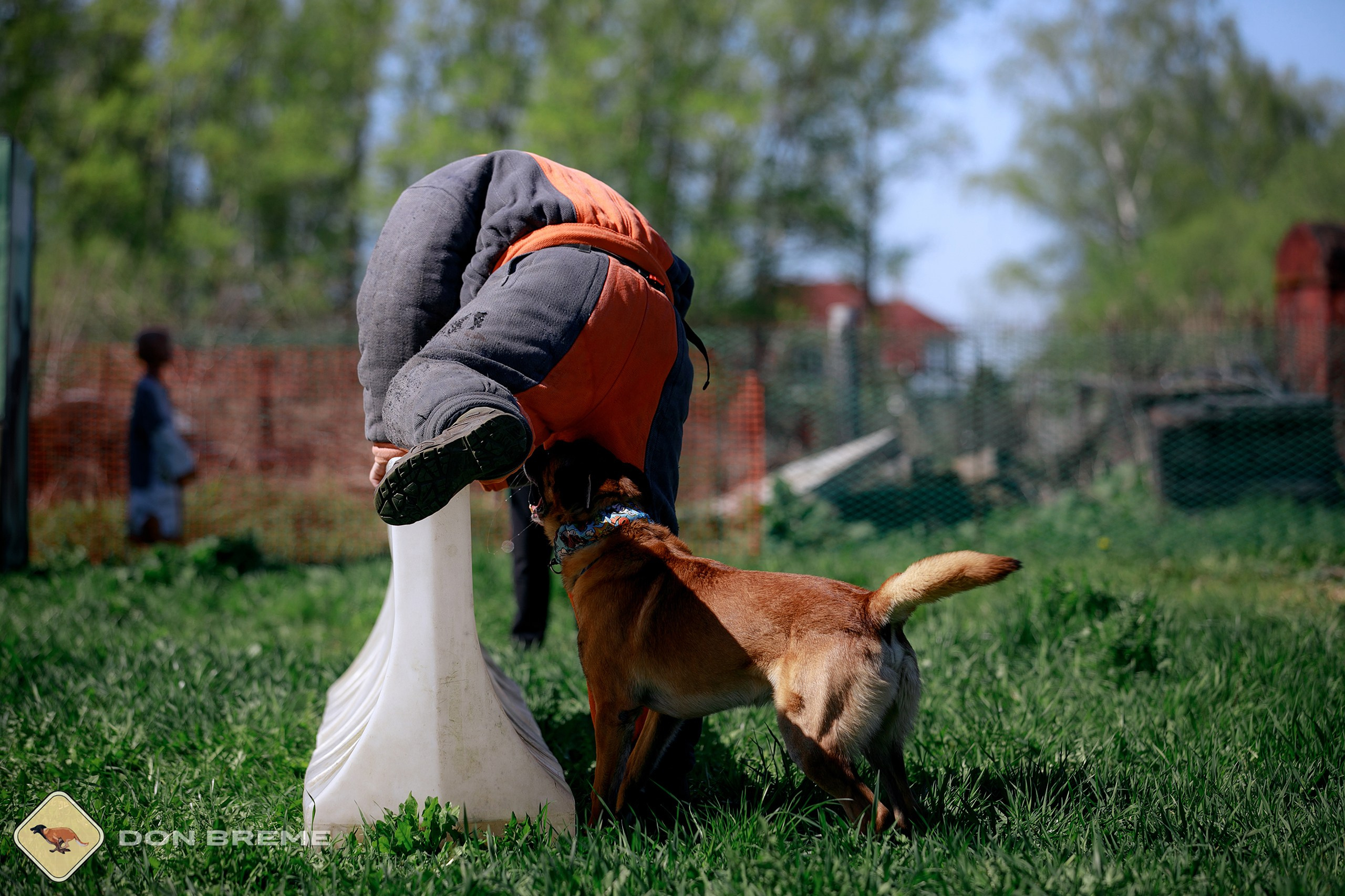 Семинар для фигурантов, день 3. Фотограф-анималист Mary Mart — Москва, Питер